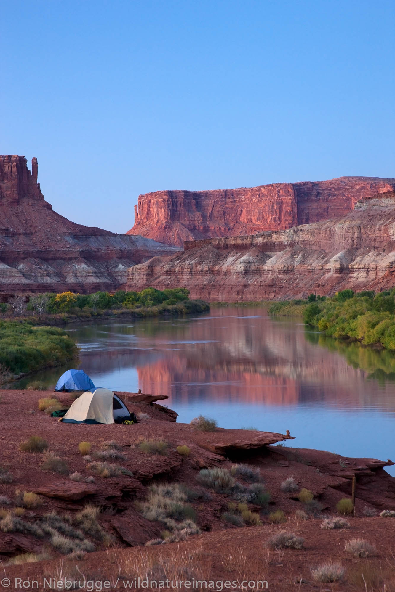 The Green River and the Labyrinth Campground site B, along the White Rim Trail, Island in the Sky District, Canyonlands National...