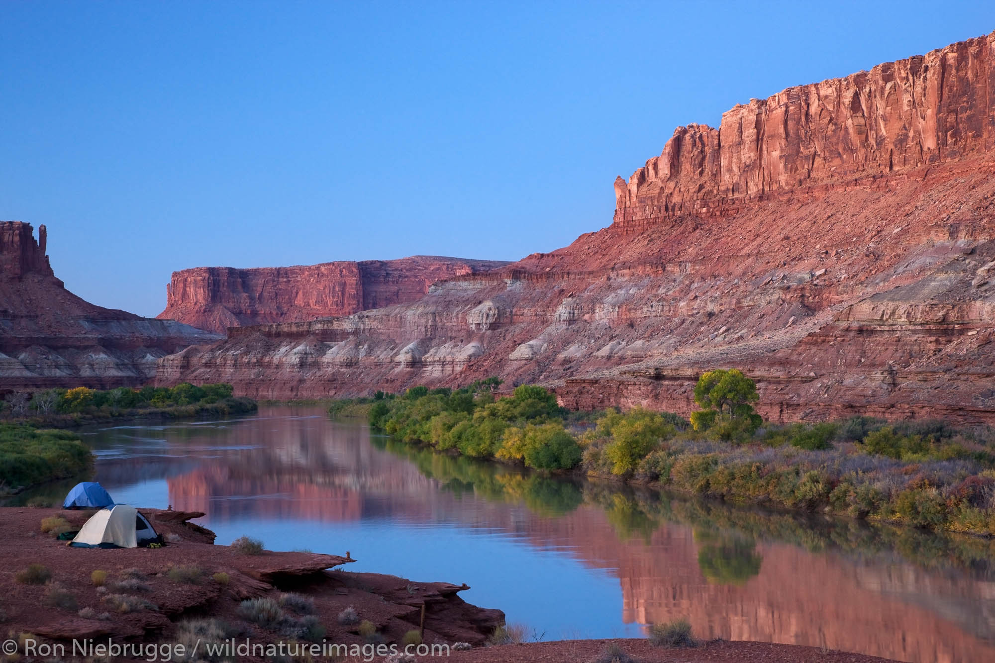 The Green River and the Labyrinth Campground site B, along the White Rim Trail, Island in the Sky District, Canyonlands National...