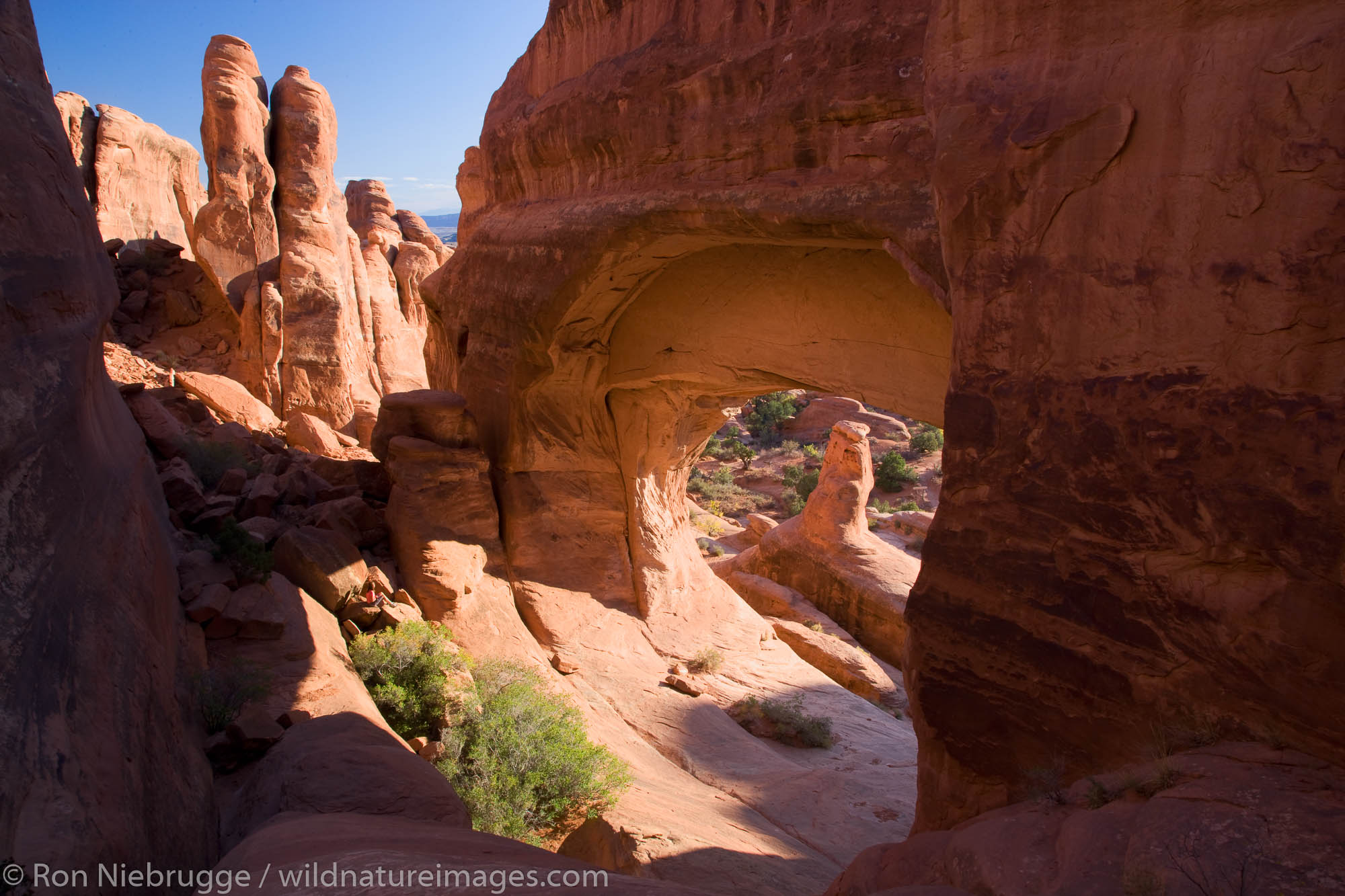 Tower Arch, Klondike Bluffs area, Arches National Park, near Moab, Utah.