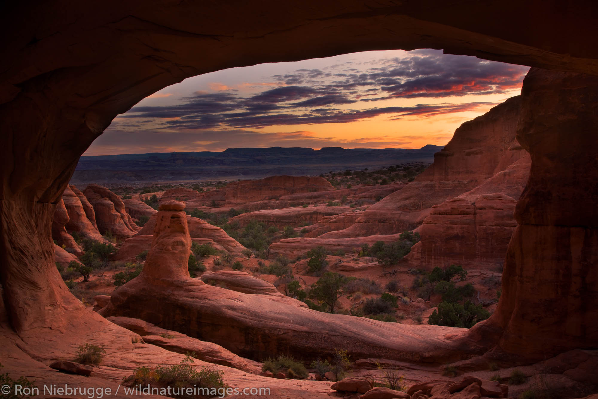 Tower Arch at sunset, Klondike Bluffs area, Arches National Park, near Moab, Utah.