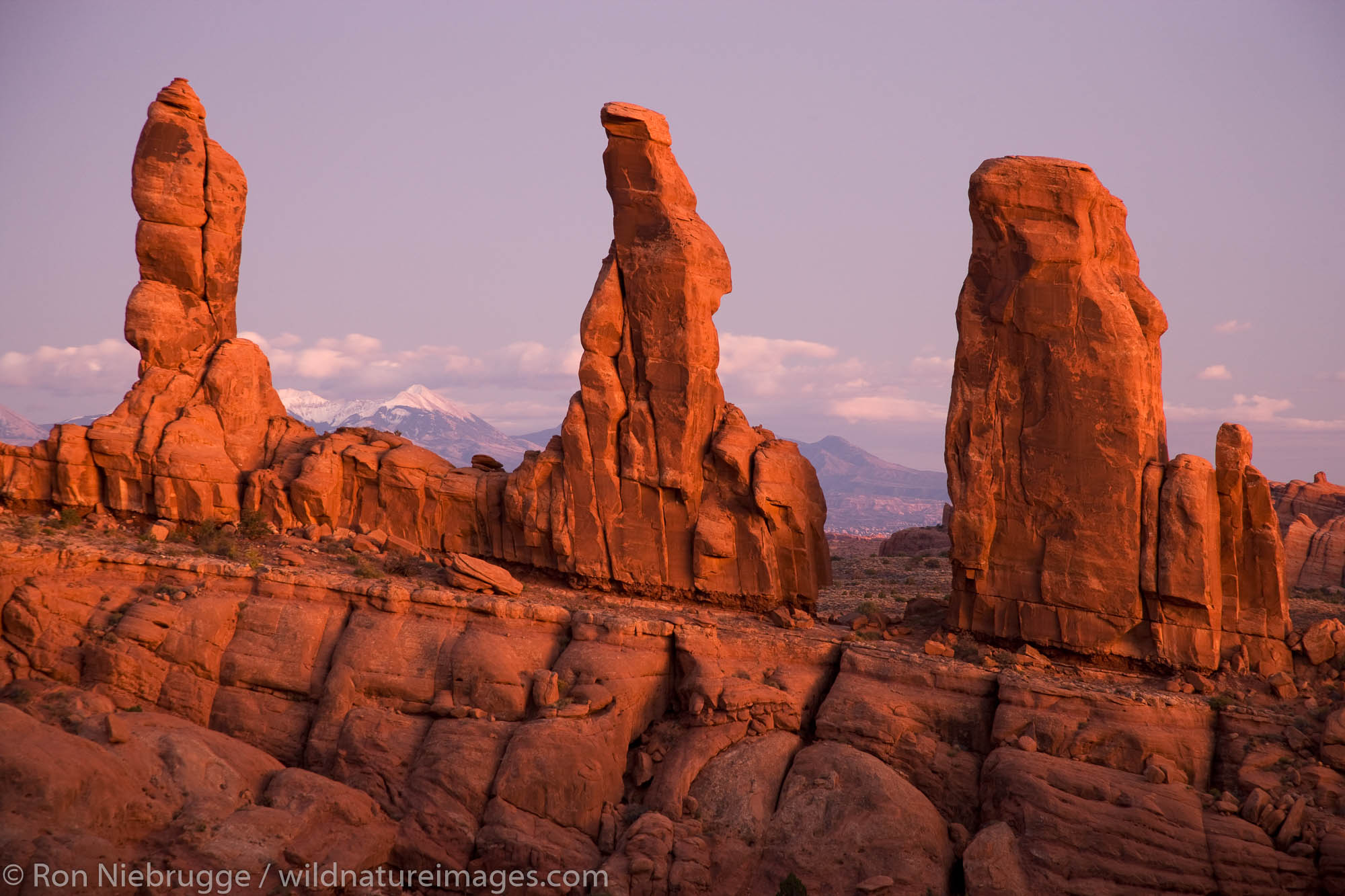 Marching Men formation, Klondike Bluffs area, Arches National Park, near Moab, Utah.