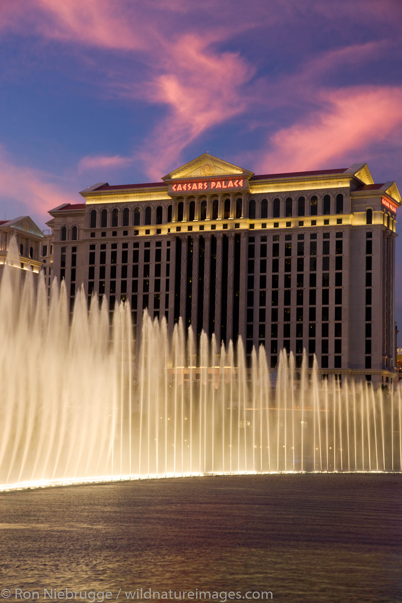 Bellagio, Las Vegas, Nevada | Photos by Ron Niebrugge