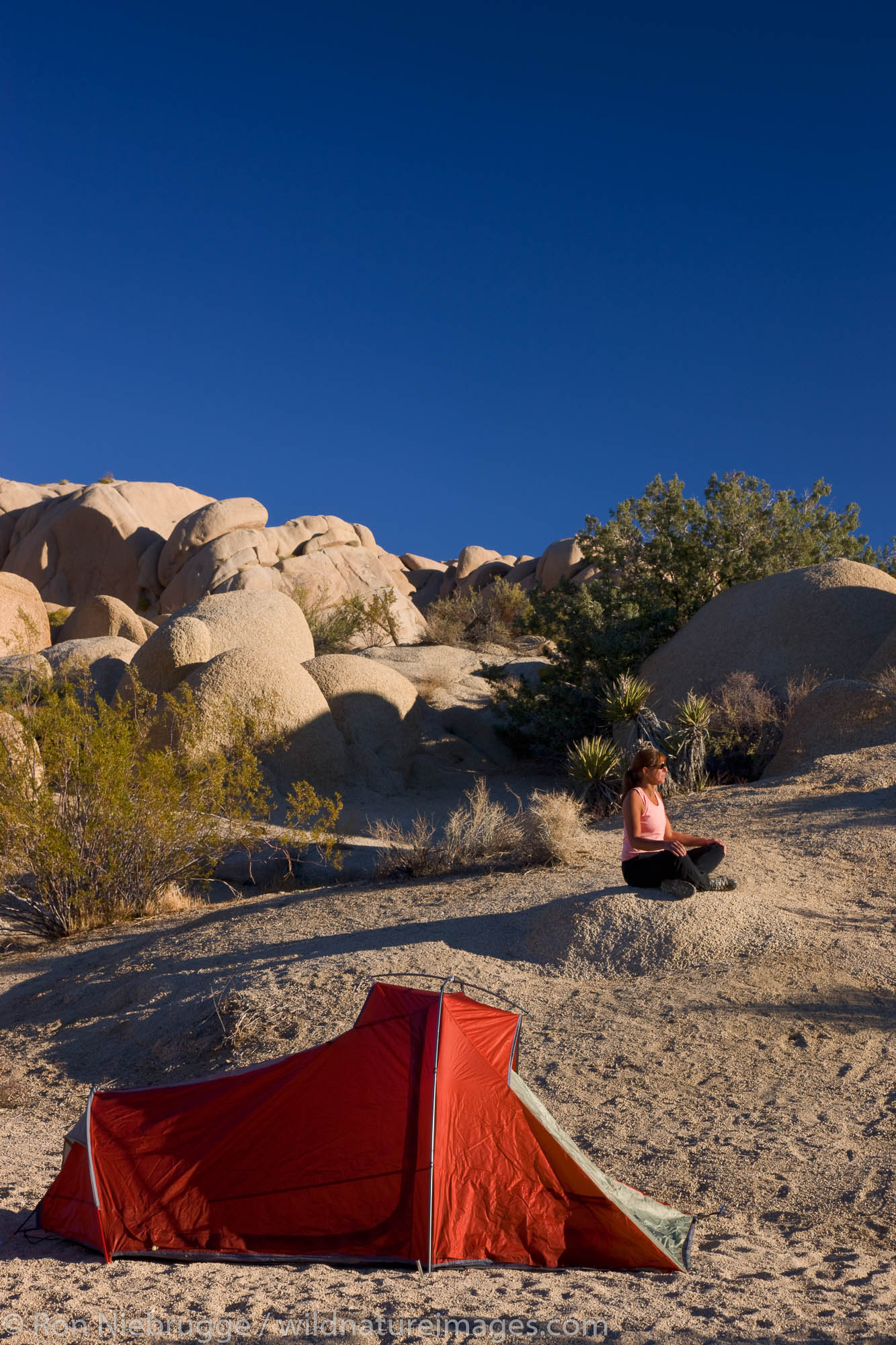 Jumbo Rocks Campground, Joshua Tree National Park, California. (model released)