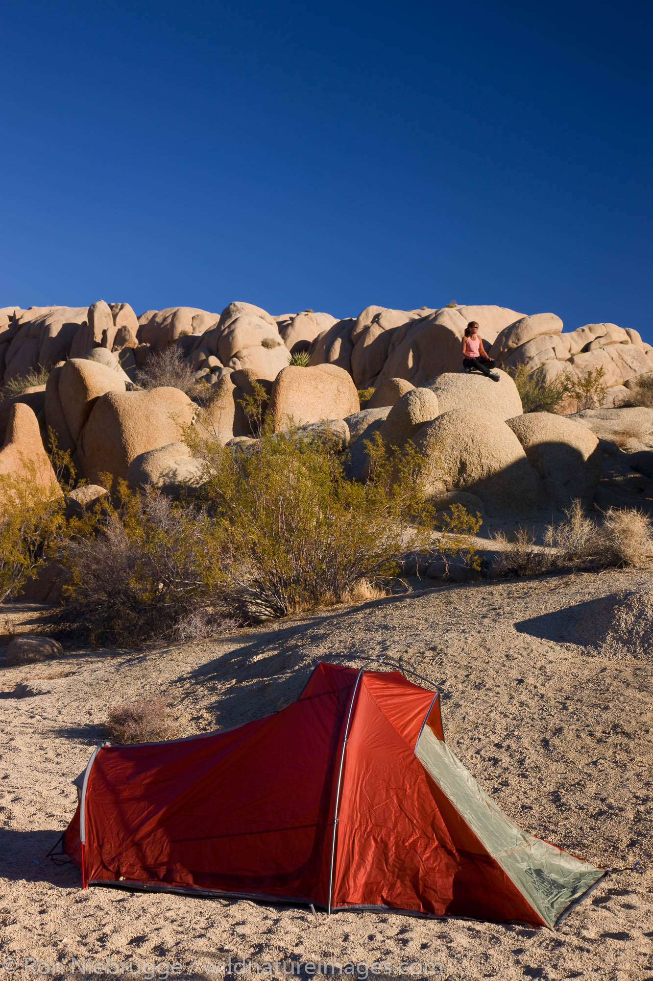 Jumbo Rocks Campground, Joshua Tree National Park, California. (model released)