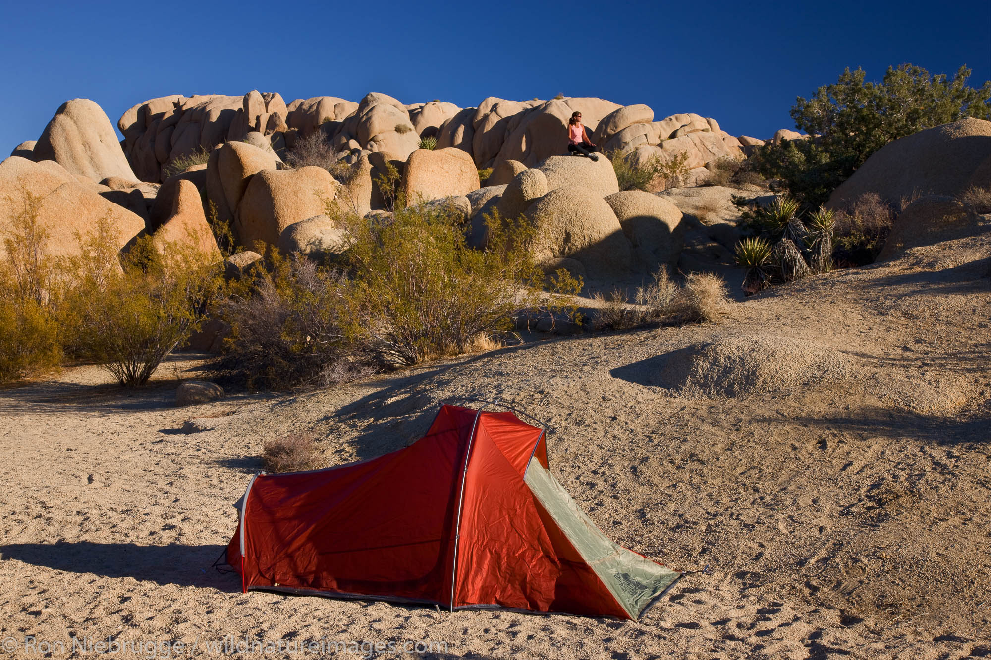 Jumbo Rocks Campground, Joshua Tree National Park, California. (model released)
