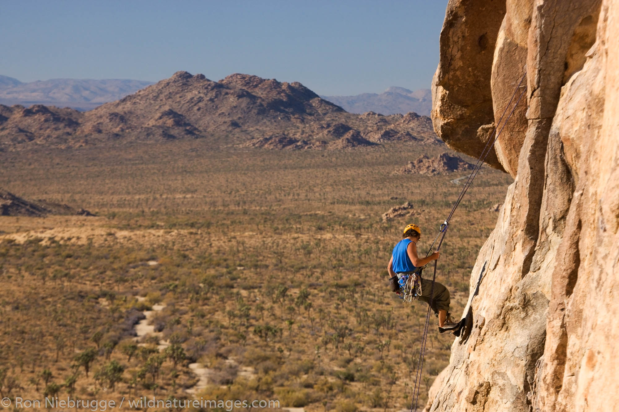 Thomas Vetsch rock climbing in Joshua Tree National Park, California.  (model released)