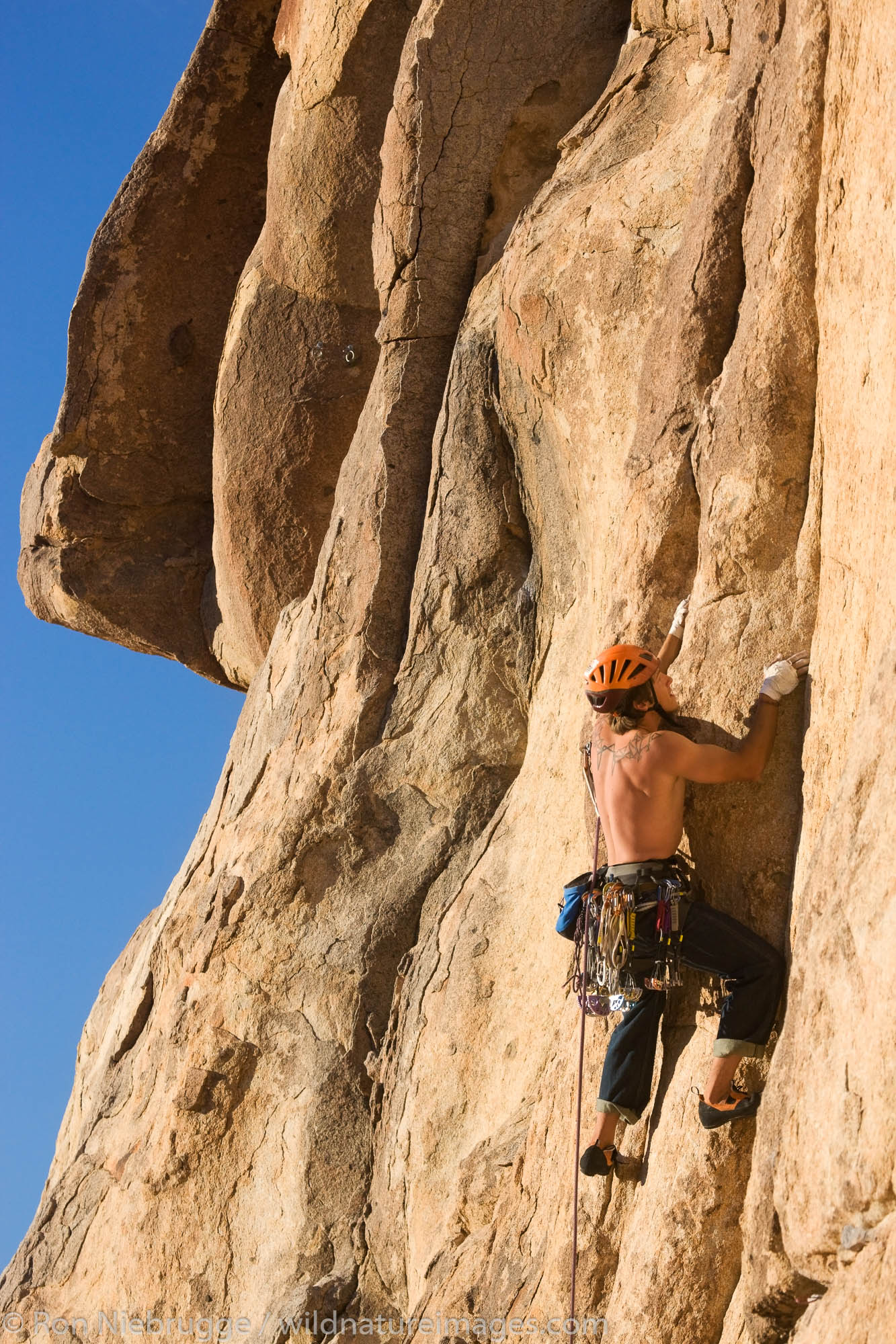 Matt VanBiene rock climbing in Joshua Tree National Park, California.  (model released)