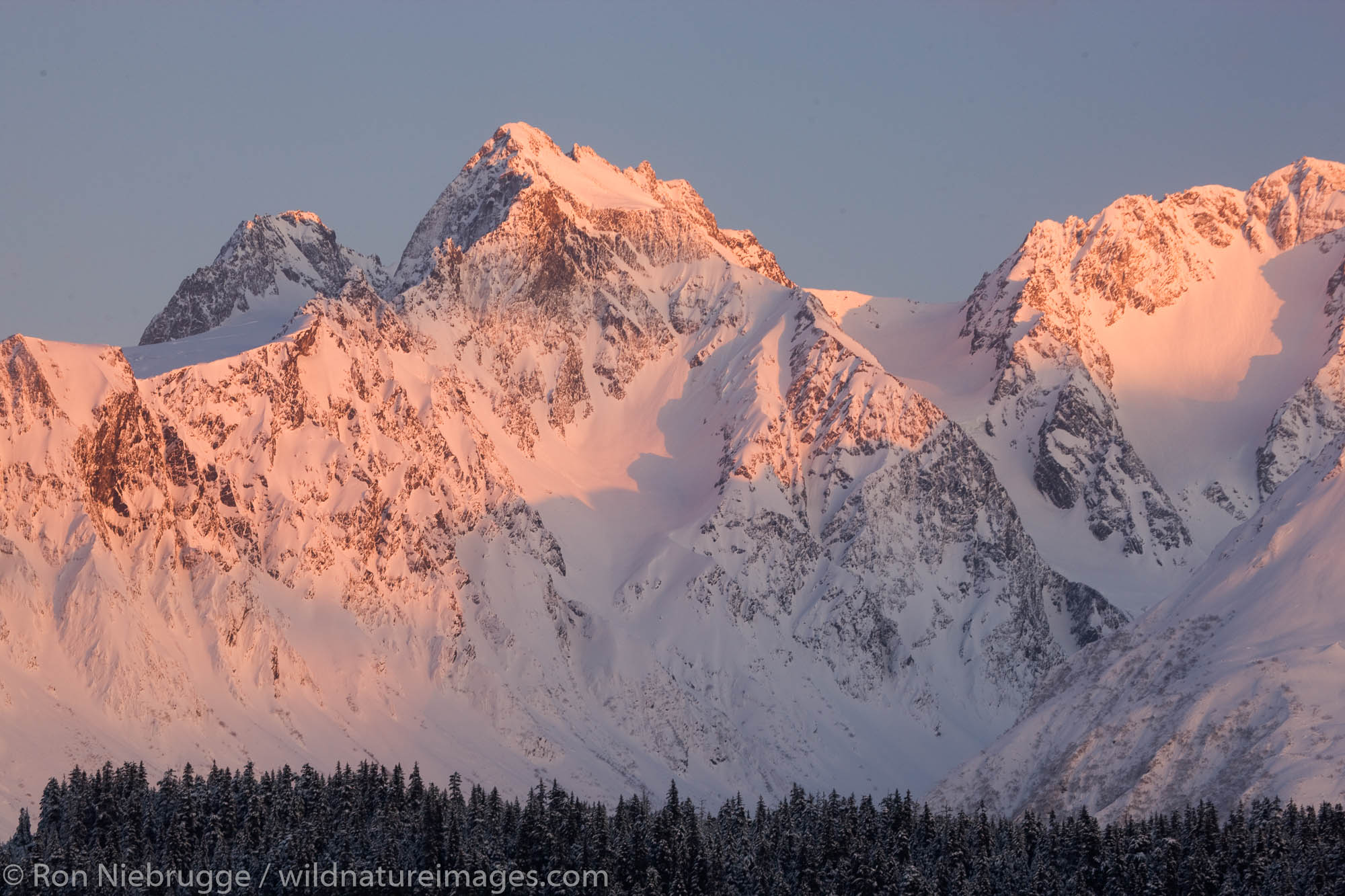 Winter in the Chugach National Forest, Seward, Alaska.