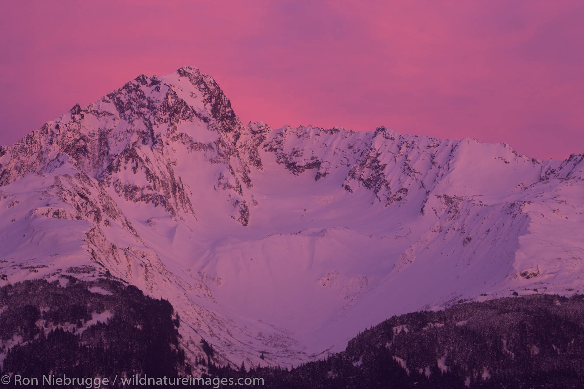 Mt Alice, Chugach National Forest, Seward, Alaska.