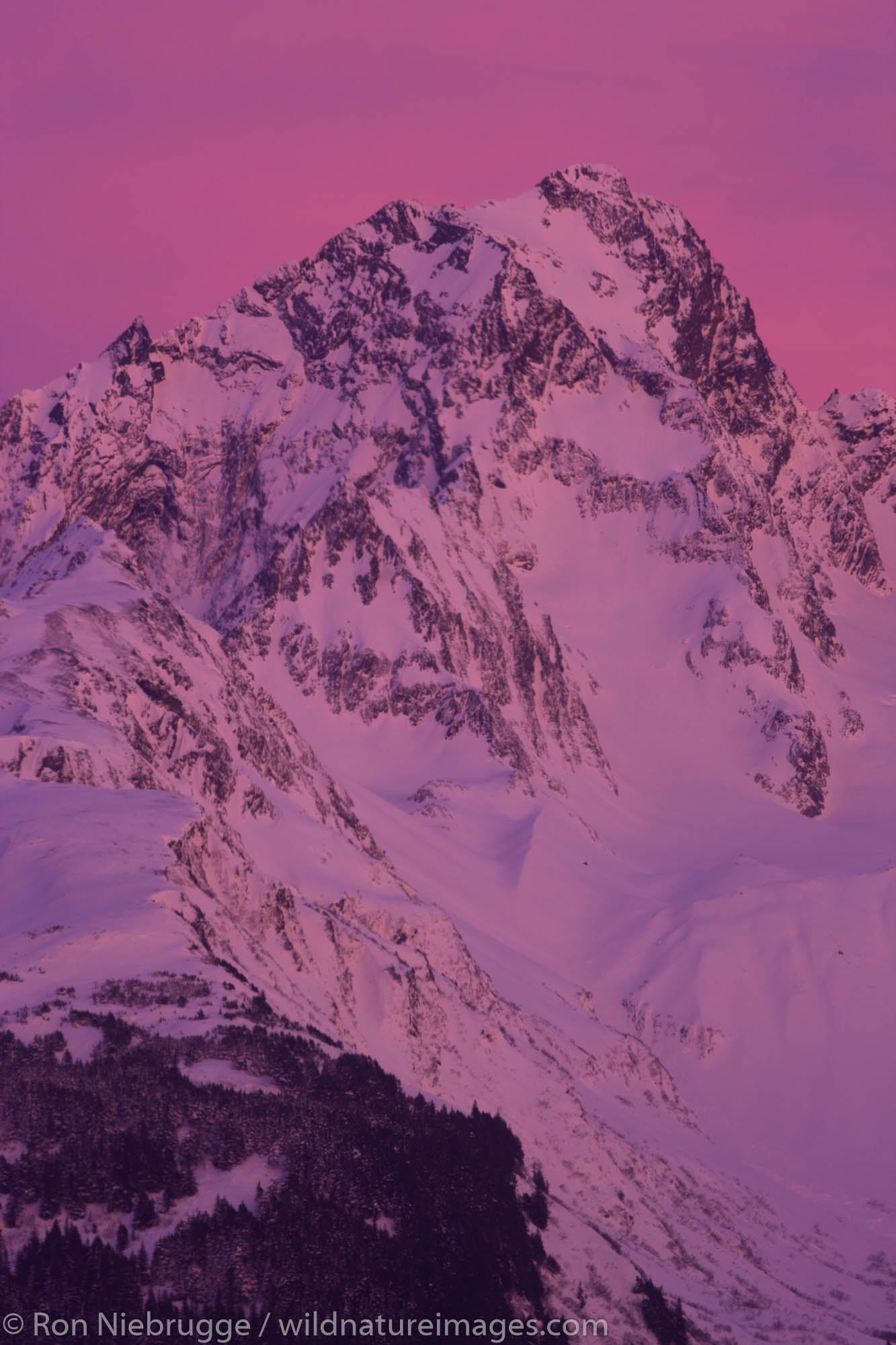 Mt Alice, Chugach National Forest, Seward, Alaska.