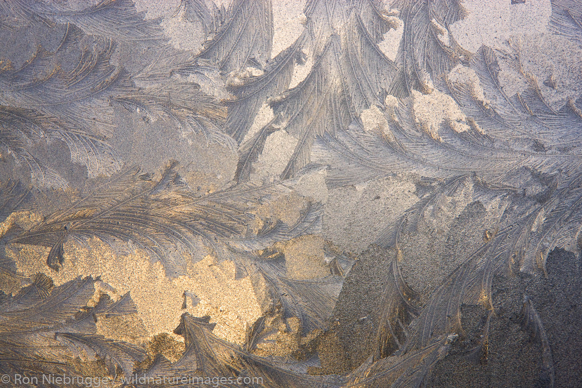 Ice patterns on a window, Seward, Alaska.