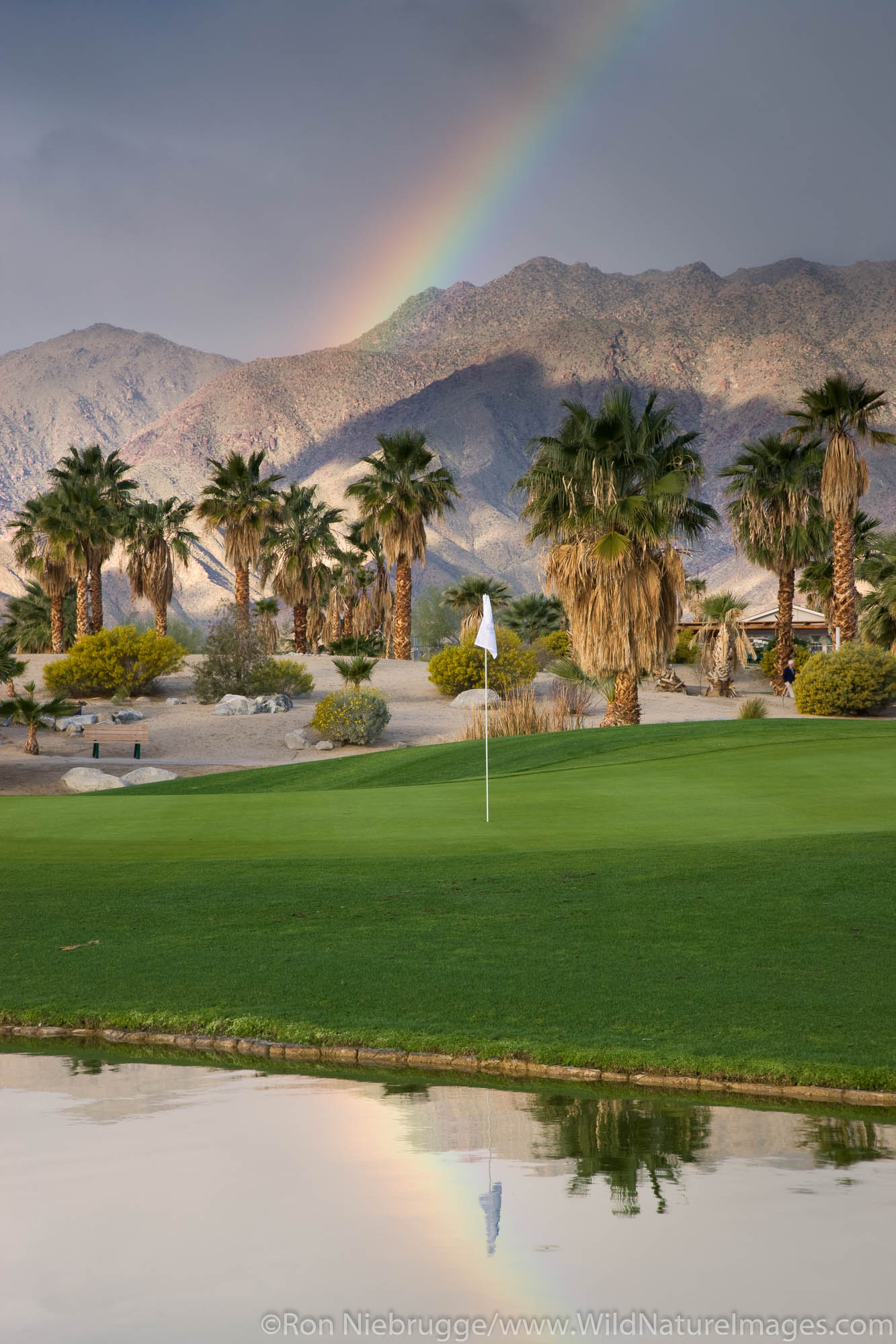 A rainbow at The Springs at Borrego RV Resort and Golf Course, Borrego Springs, California.