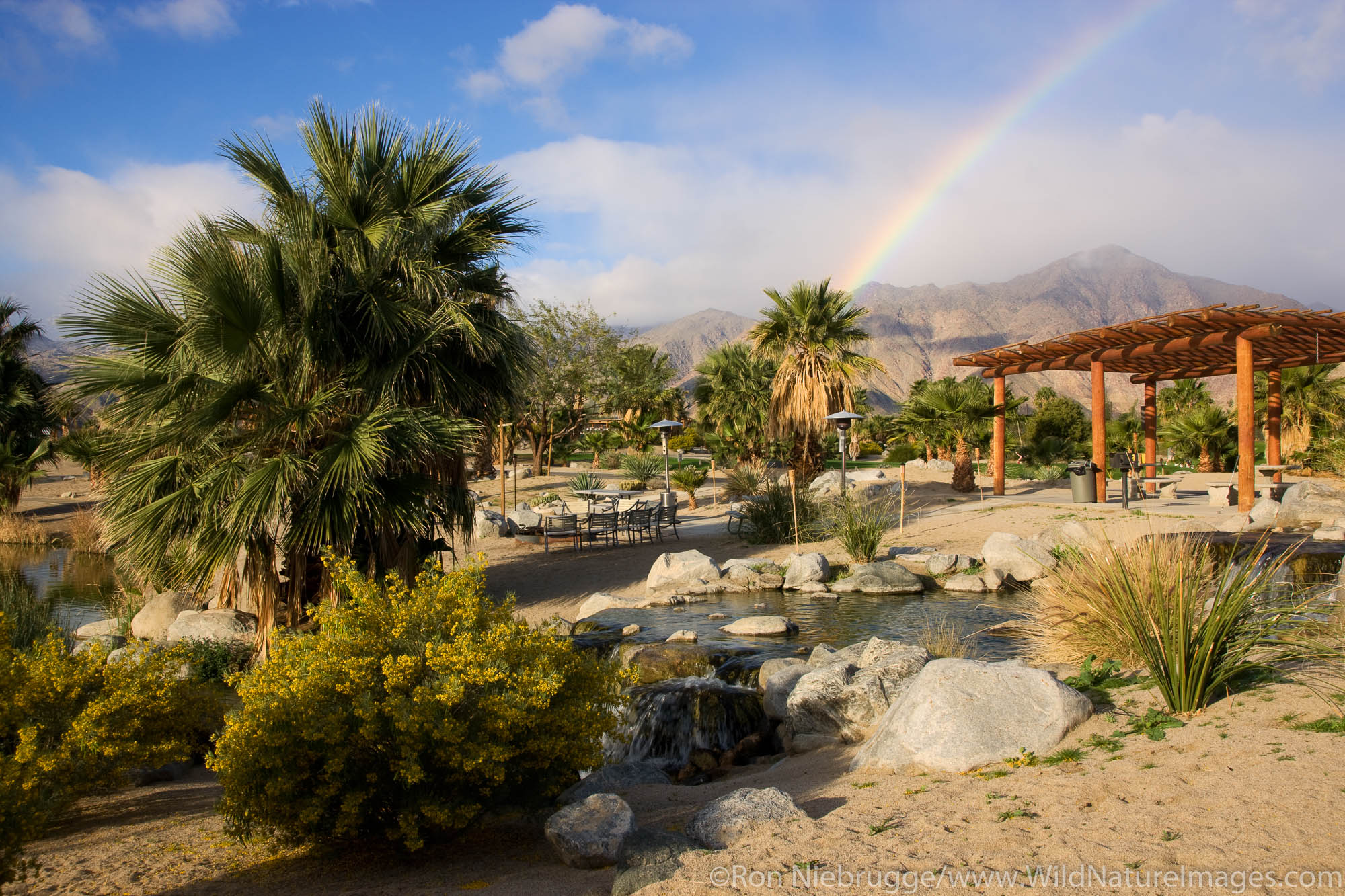A rainbow at The Springs at Borrego RV Resort and Golf Course, Borrego Springs, California.