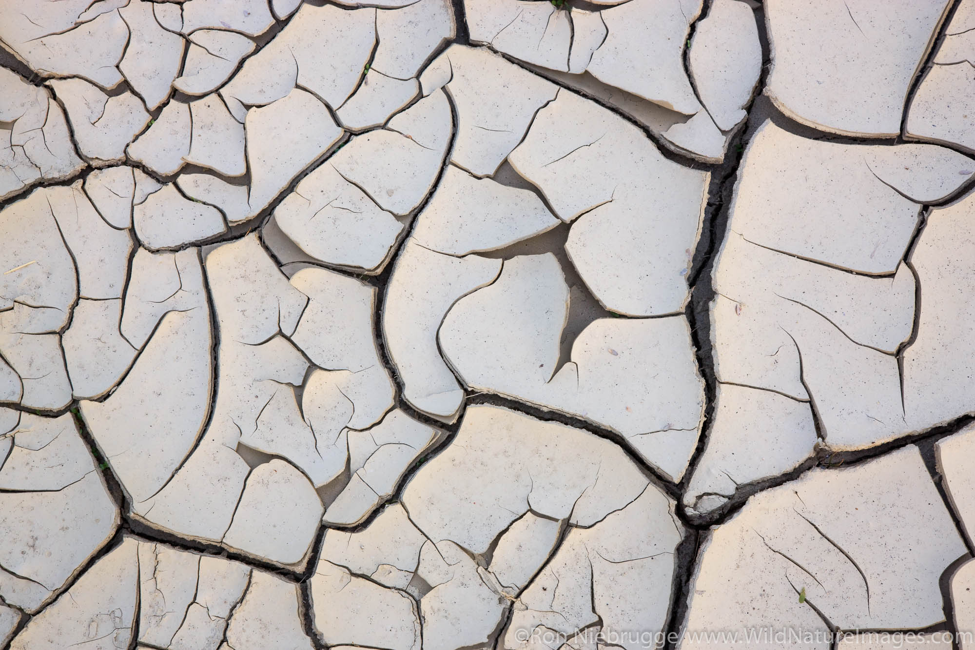 Dried cracked mud in a wash, Anza-Borrego Desert State Park, California.