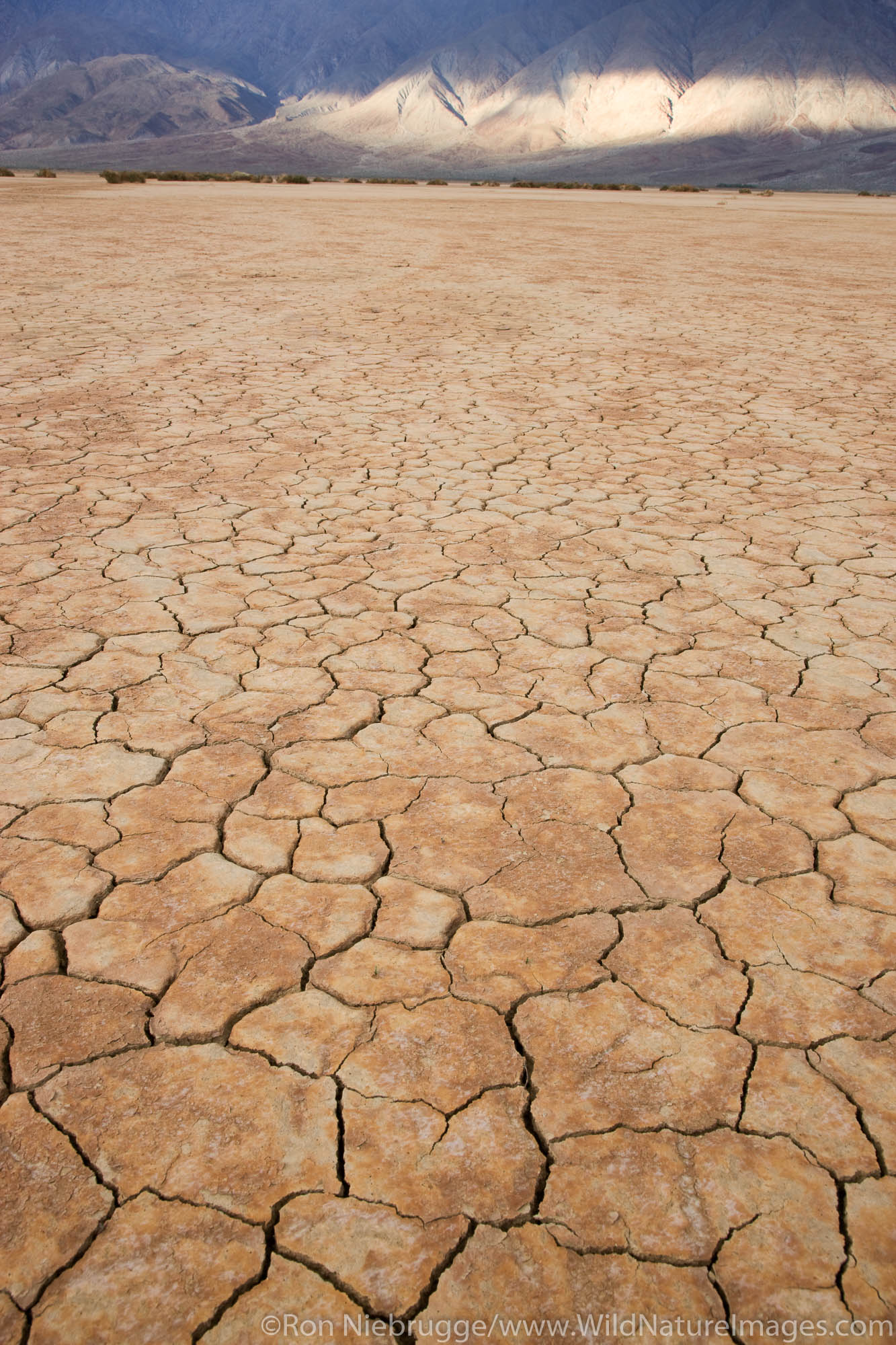 Cracks in a dry lake, Anza-Borrego Desert State Park, California.