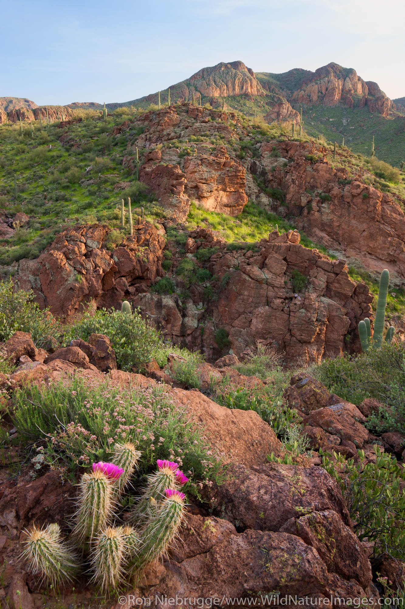 Superstition Mountains along the Apache Trail, Tonto National Forest, East of Phoenix, Arizona.