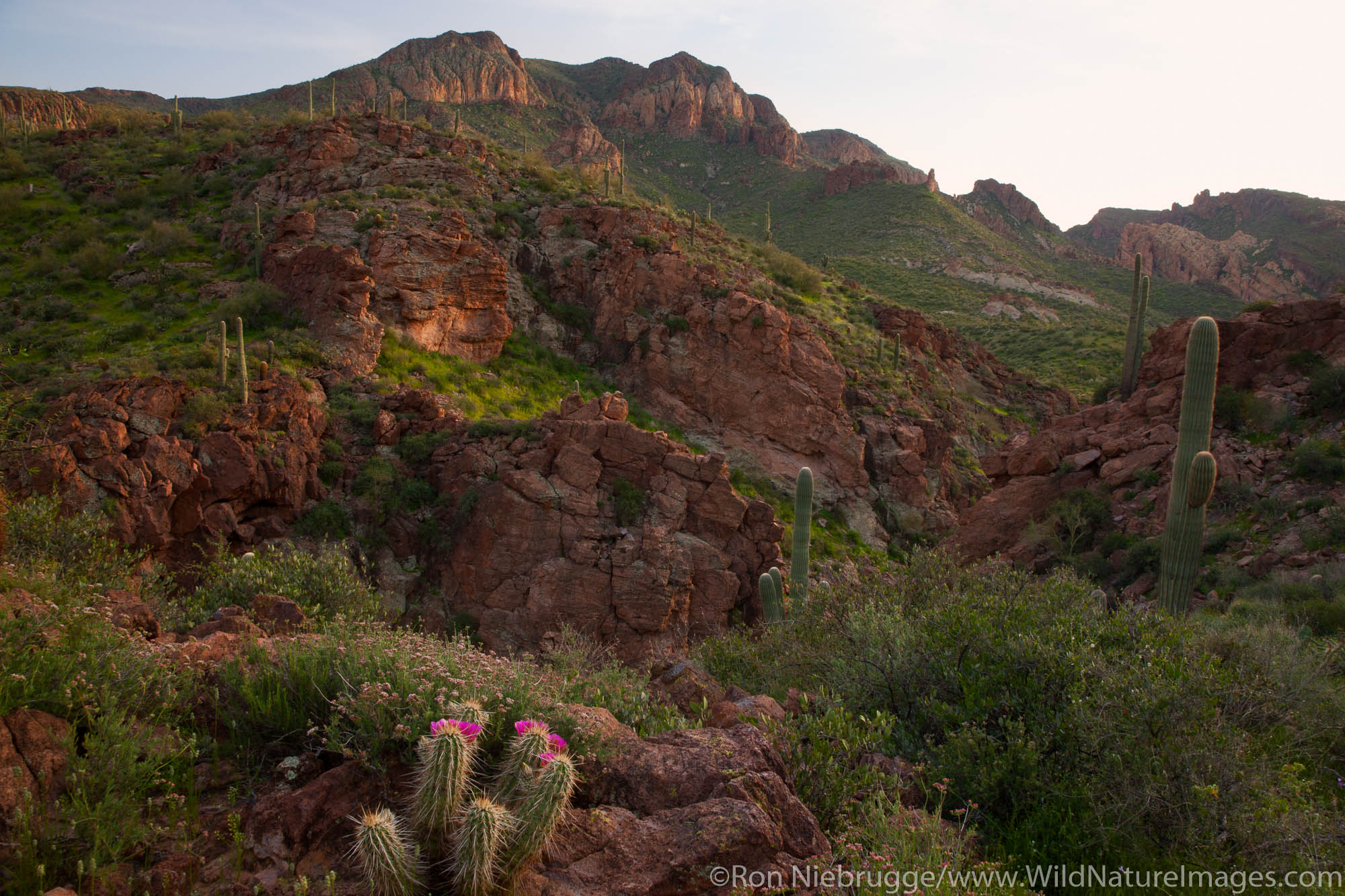 Superstition Mountains along the Apache Trail, Tonto National Forest, East of Phoenix, Arizona.