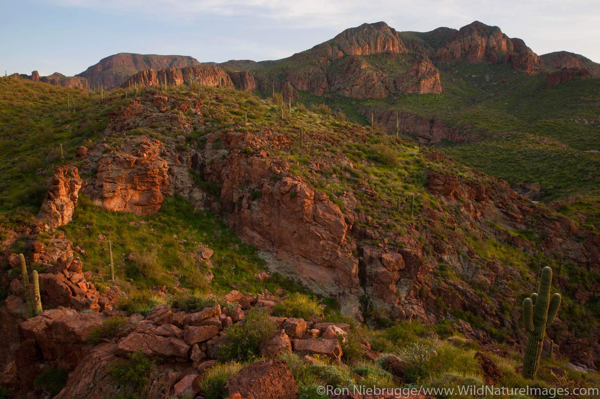 Superstition Mountains along the Apache Trail, Tonto National Forest, East of Phoenix, Arizona.