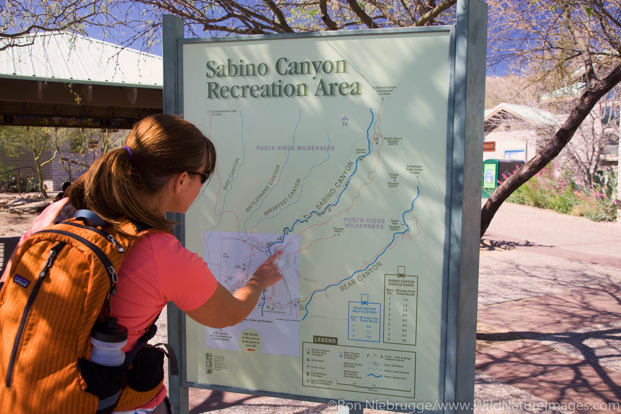 Visitors, Sabino Canyon Recreation Area, Tucson, Arizona.  (model released)