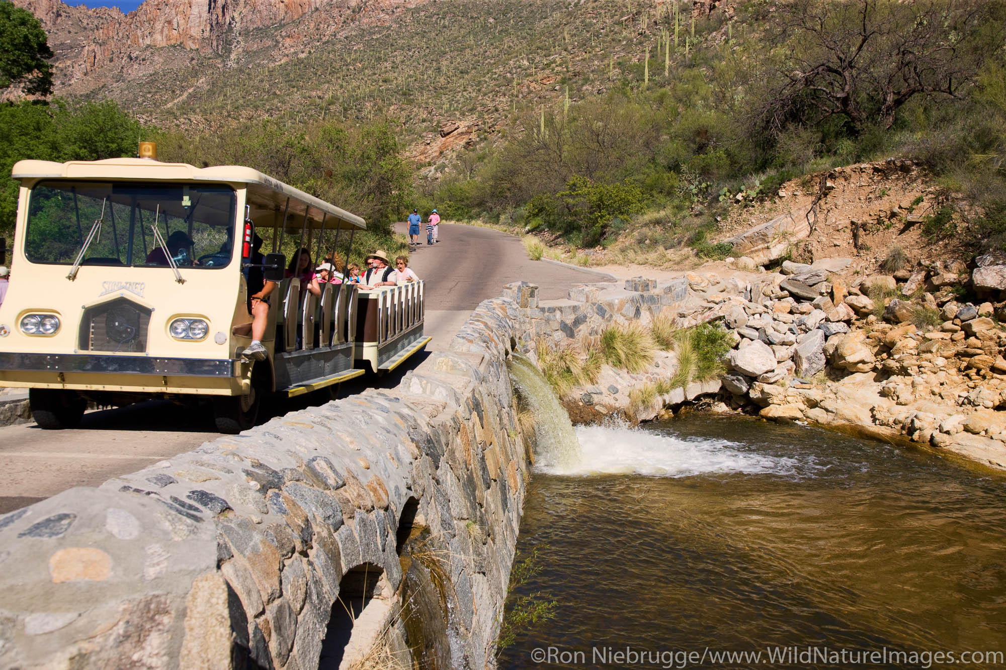 Shuttle and Sabino Creek, Sabino Canyon Recreation Area, Tucson, Arizona.