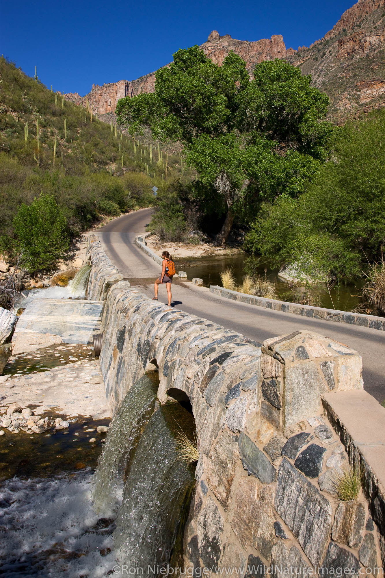 Hiker stops at Sabino Creek, Sabino Canyon Recreation Area, Tucson, Arizona. (model released)