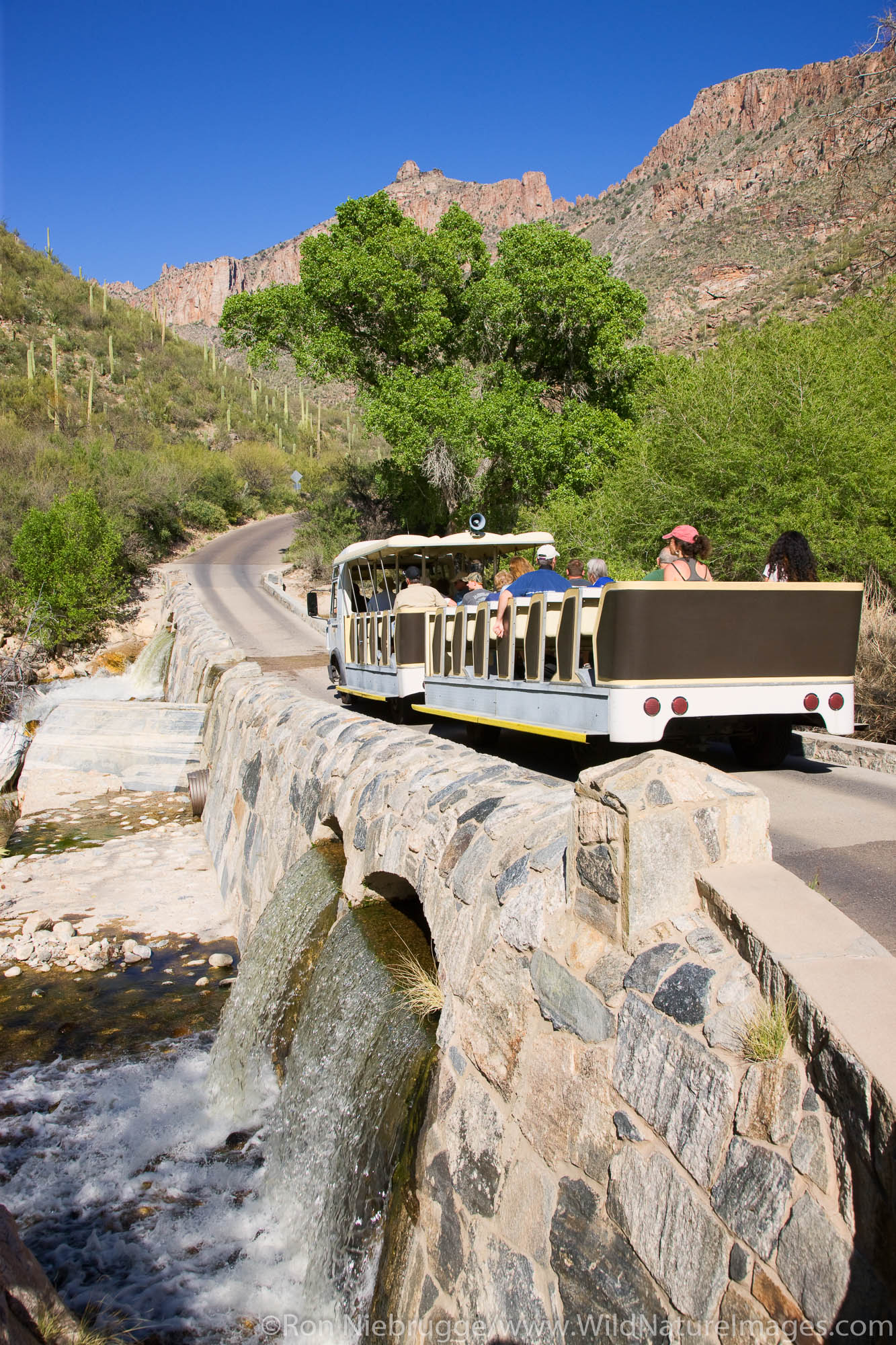 Shuttle crosses Sabino Creek, Sabino Canyon Recreation Area, Tucson, Arizona.