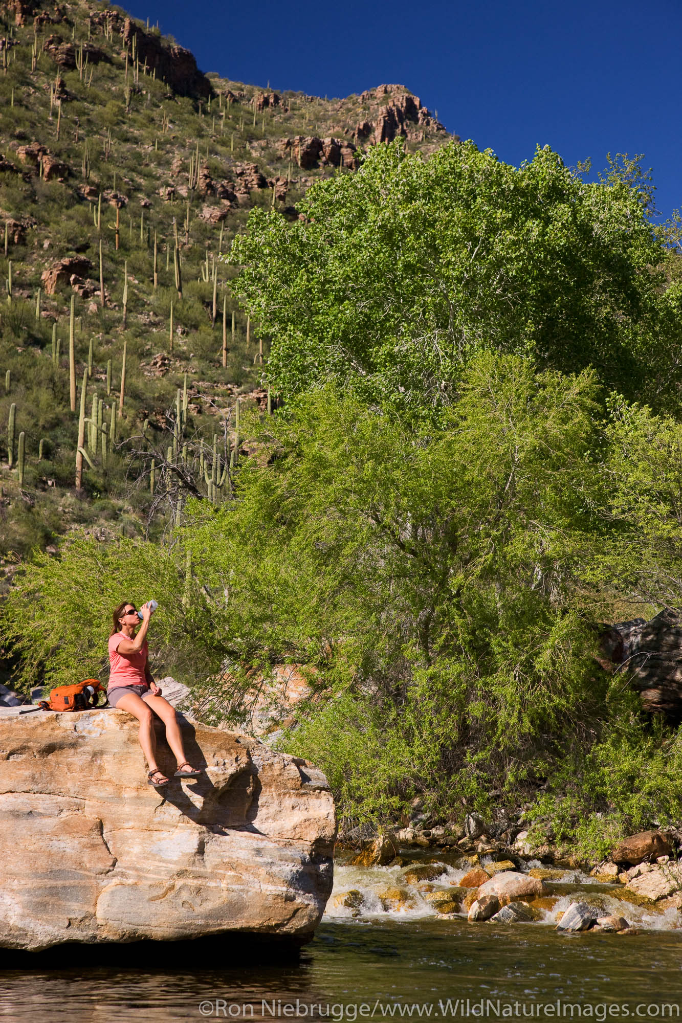 Hiker enjoying Sabino Creek, Sabino Canyon Recreation Area, Tucson, Arizona.  (model released)