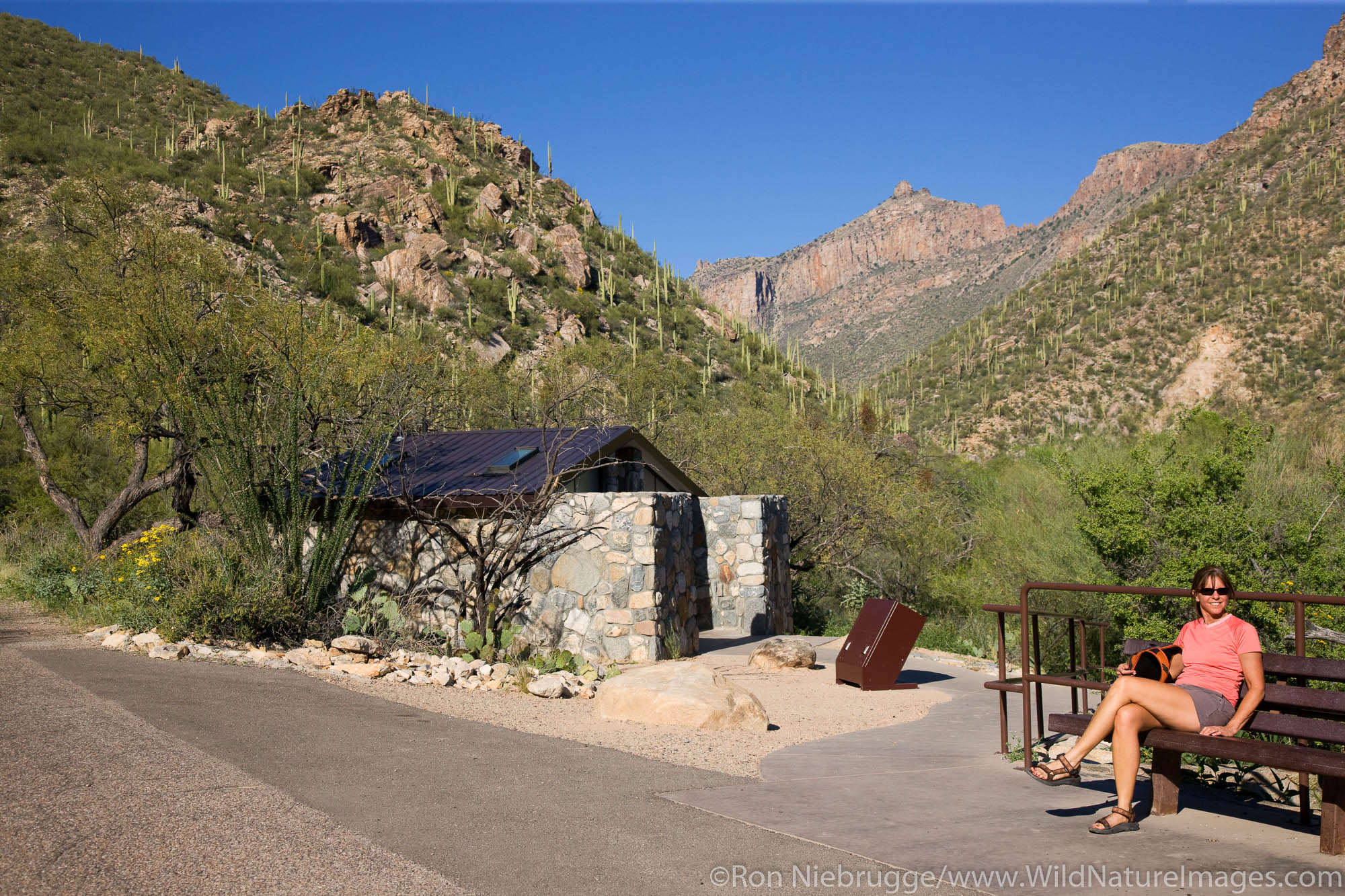 Hiker waits at Shuttle Bus stop #1, Sabino Canyon Recreation Area, Tucson, Arizona.  (model released)