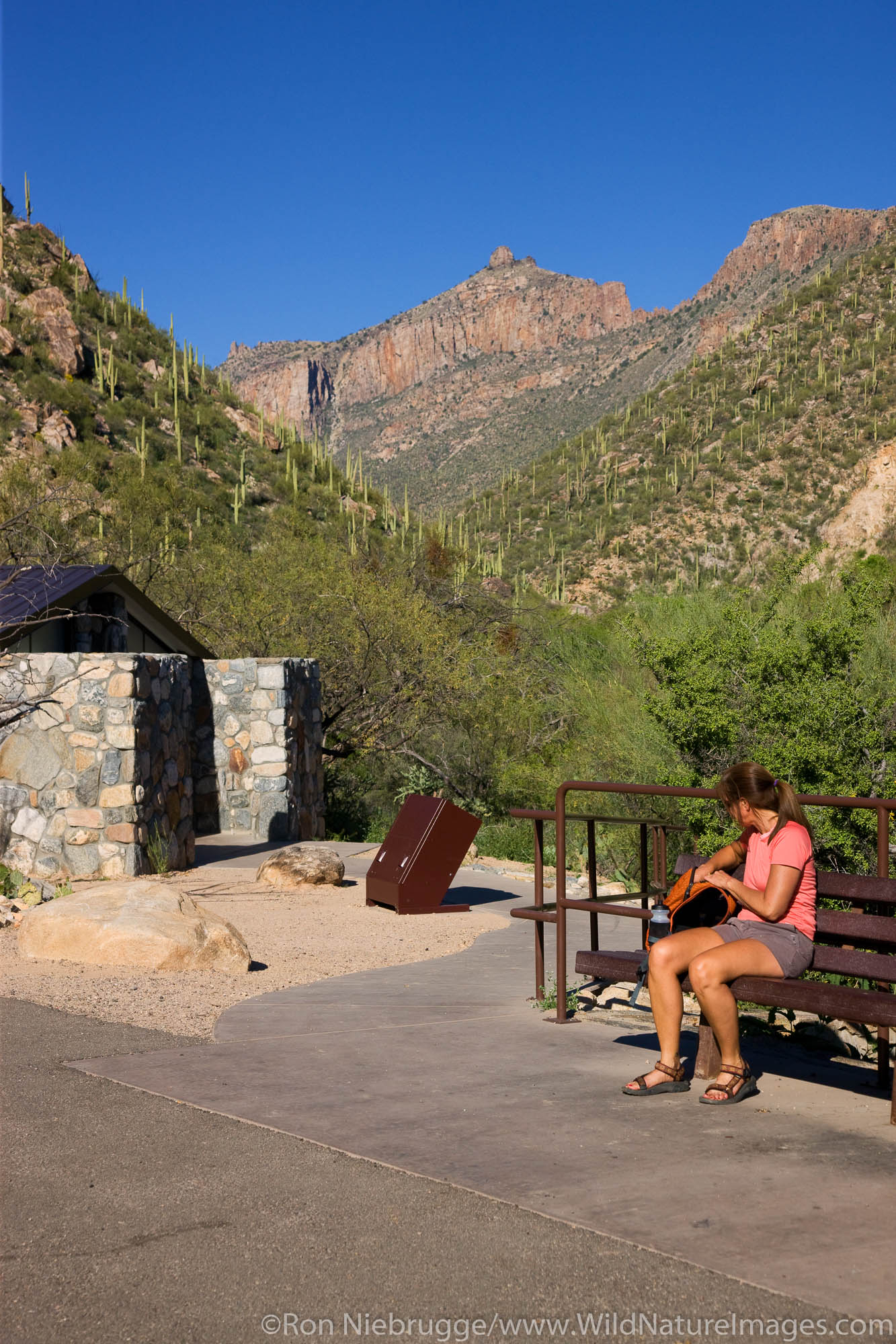 Hiker waits at Shuttle Bus stop #1, Sabino Canyon Recreation Area, Tucson, Arizona.  (model released)