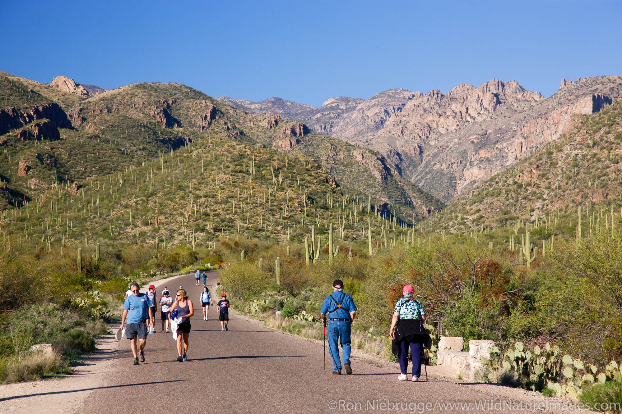 Hikers in Sabino Canyon Recreation Area, Tucson, Arizona.