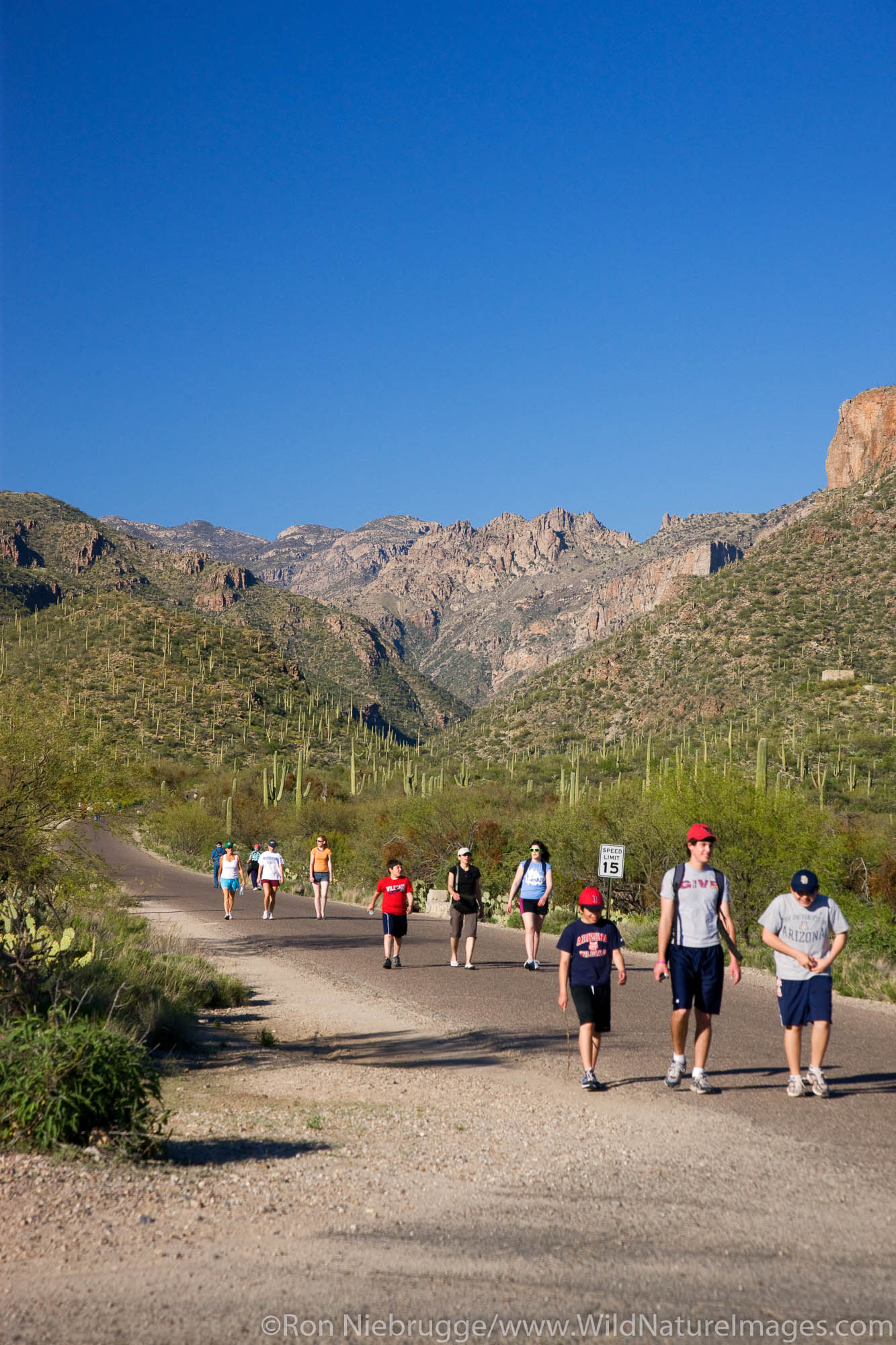Hikers in Sabino Canyon Recreation Area, Tucson, Arizona.
