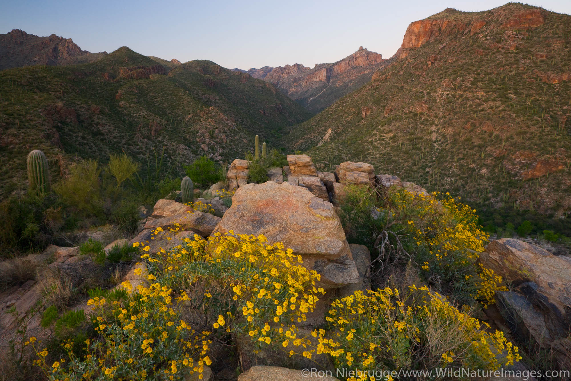 Sabino Canyon Recreation Area, Tucson, Arizona.