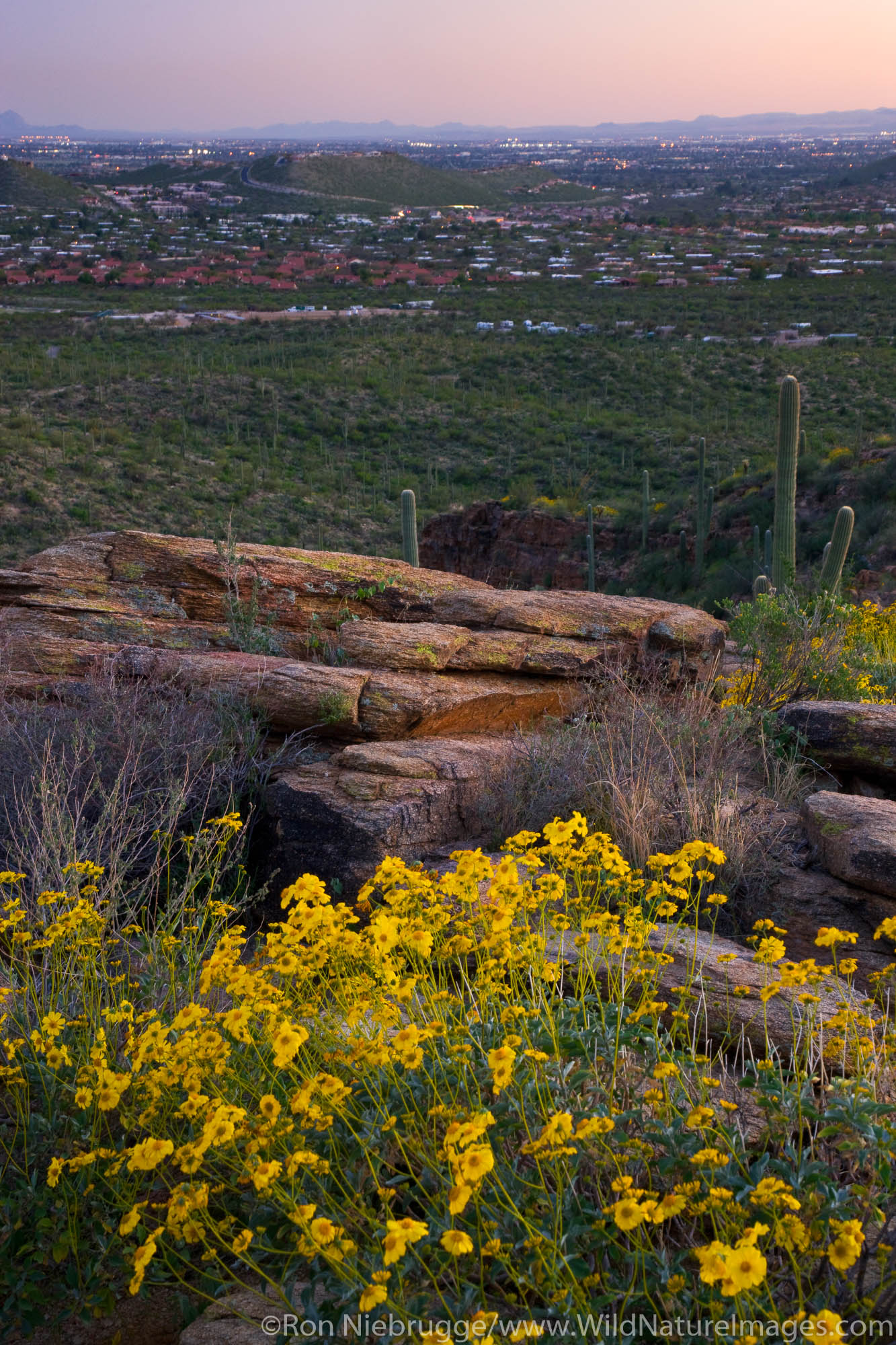 Sabino Canyon Recreation Area, Tucson, Arizona.