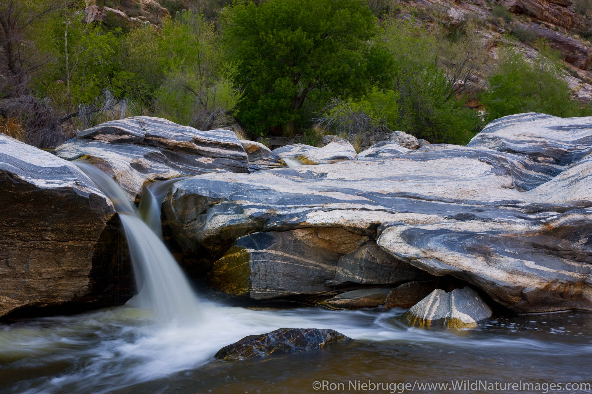 Sabino Creek, Sabino Canyon Recreation Area, Tucson, Arizona.