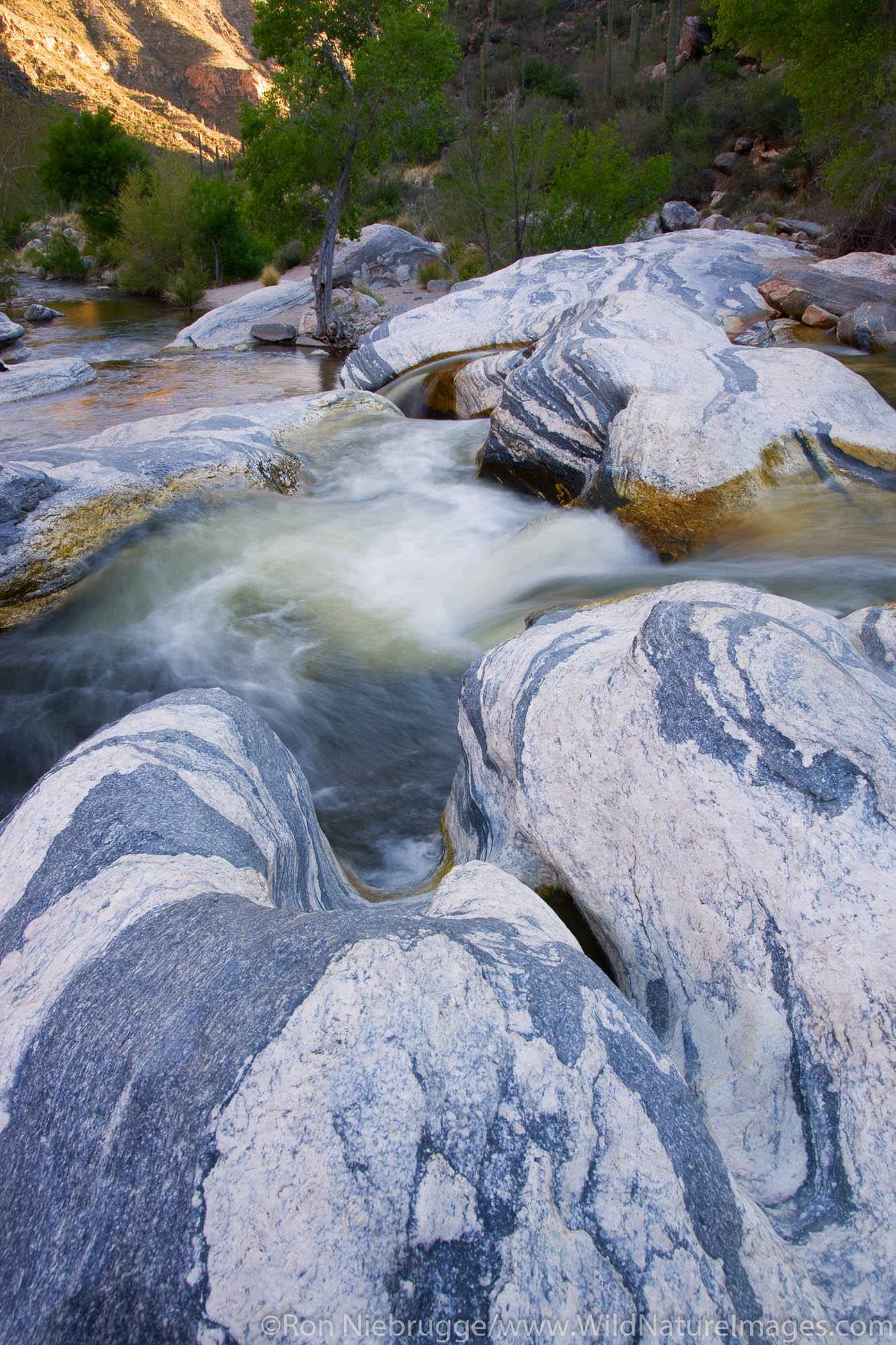 Sabino Canyon Recreation Area Location