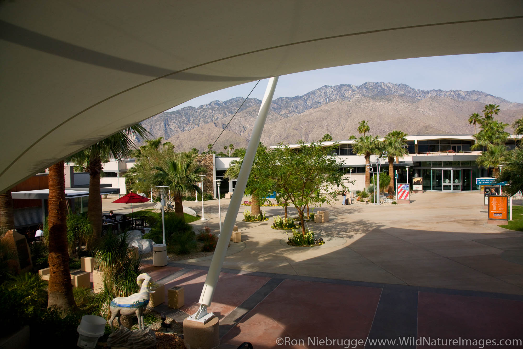 Palm Spring Airport Photos by Ron Niebrugge