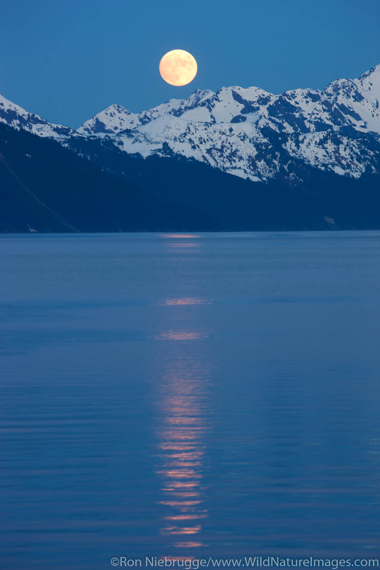 Full moon over Resurrection Bay, Seward, Alaska.