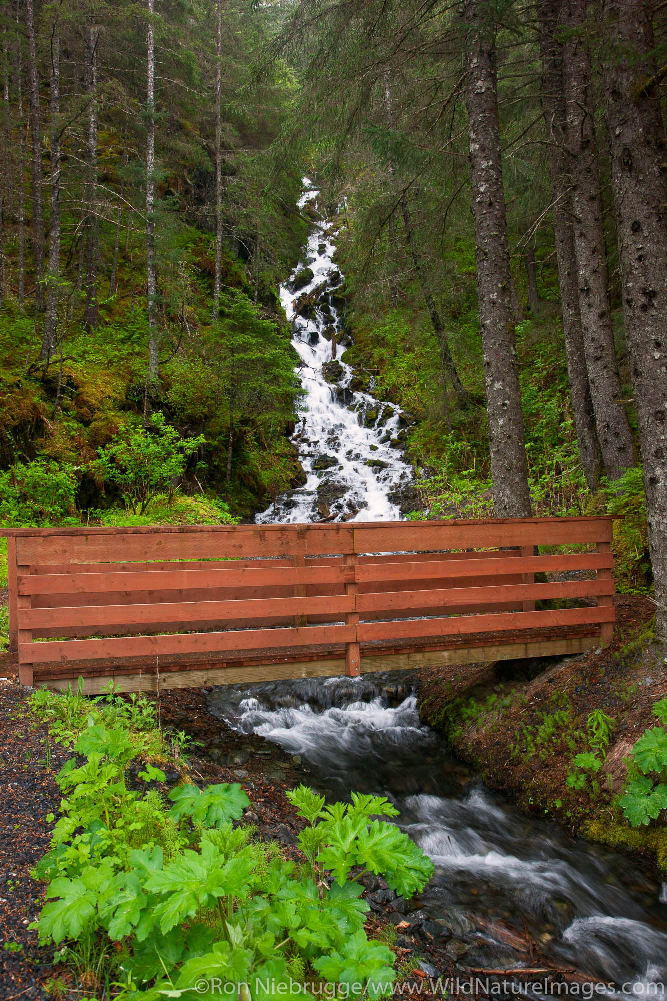 A waterfall and bridge, Seward, Alaska.