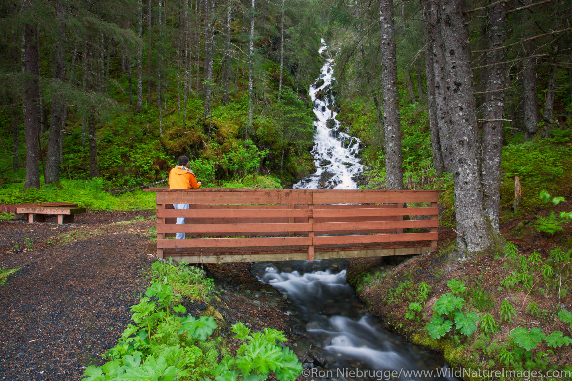 A waterfall and bridge, Seward, Alaska.