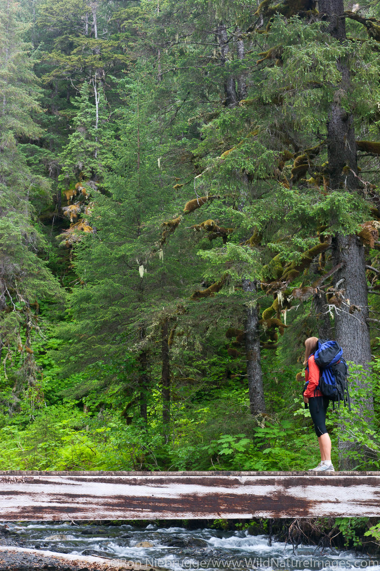 Hiking on the Resurrection River Trail, Chugach National Forest, Alaska.