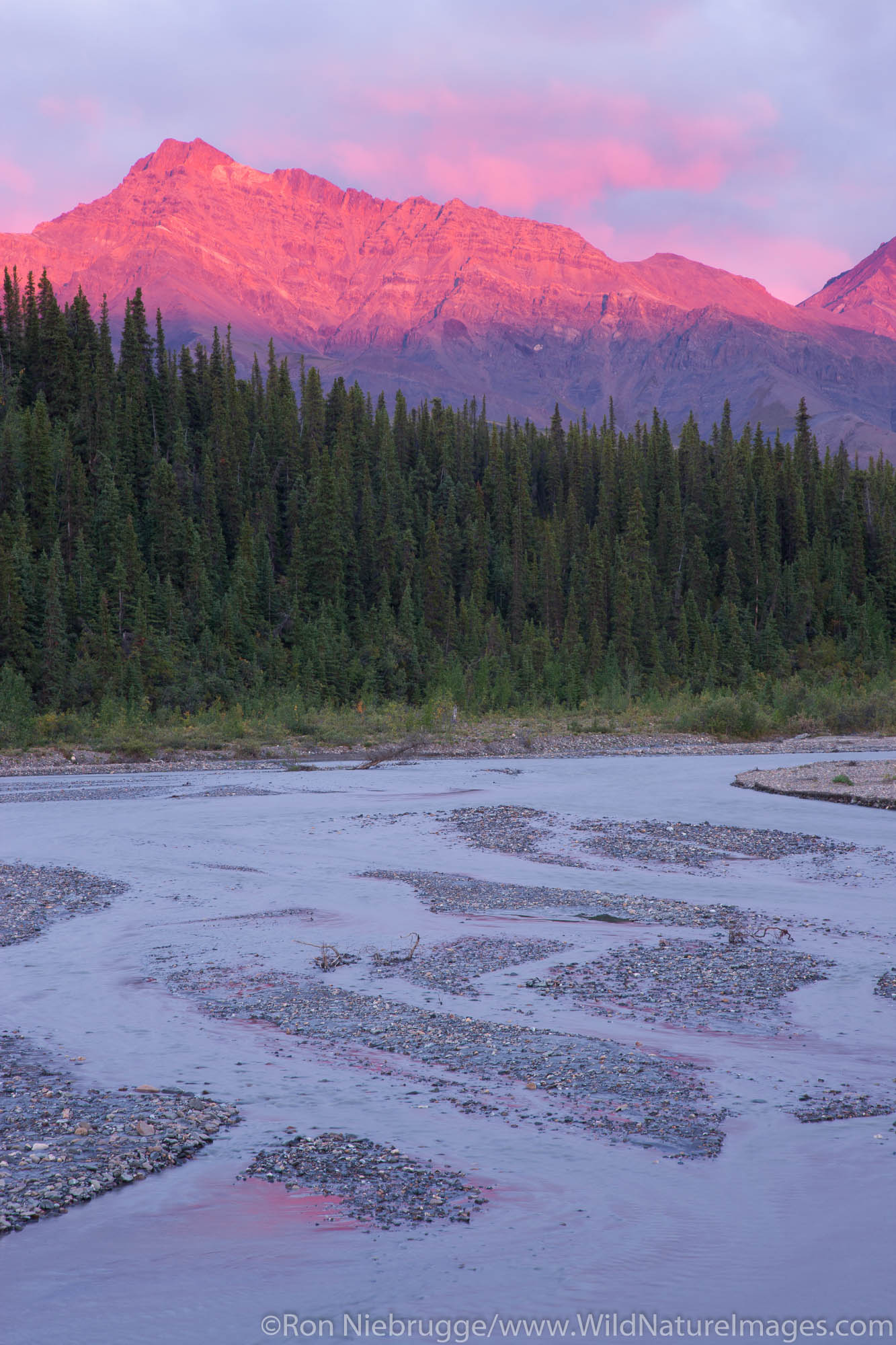 Sunset over the Teklanika River valley, Denali National Park, Alaska.