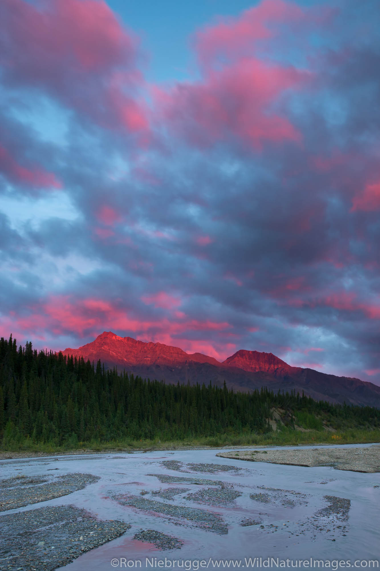 Sunset over the Teklanika River valley, Denali National Park, Alaska.