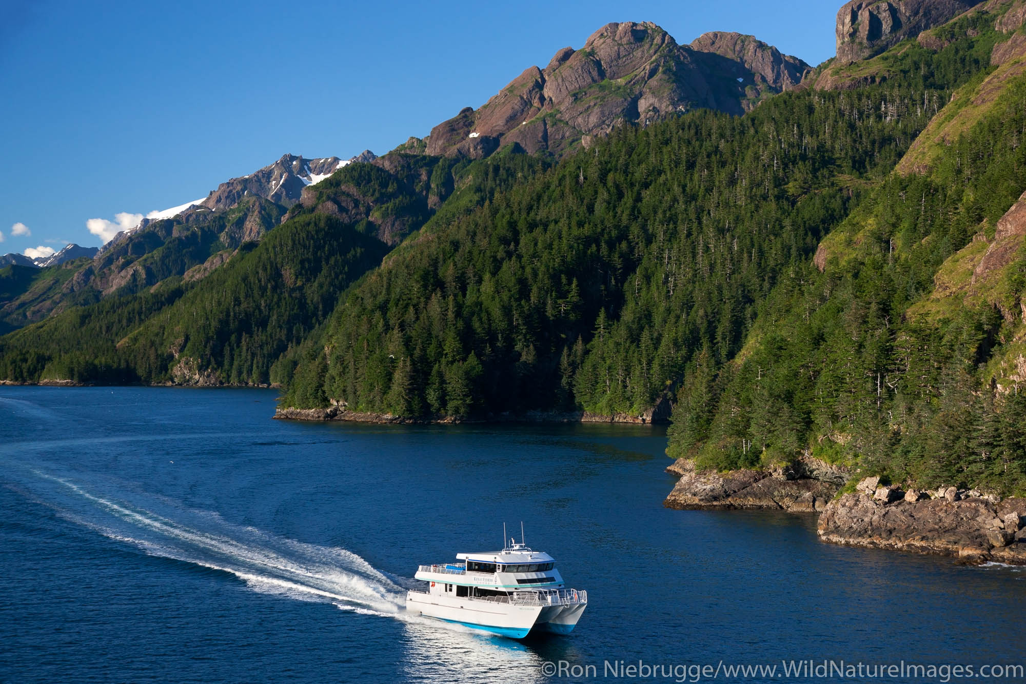 Kenai Fjords Wilderness Lodge Halibut Cove
