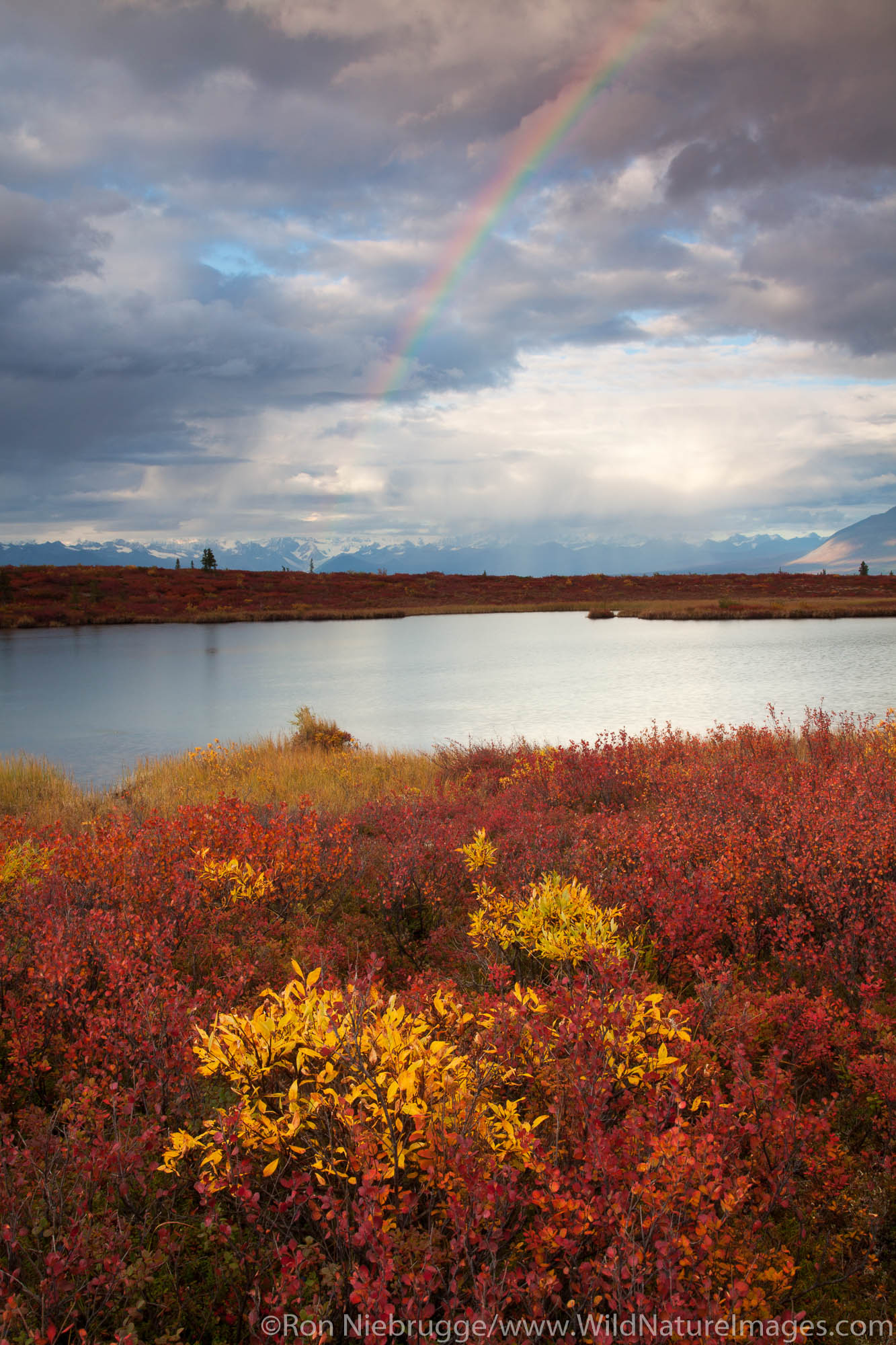 Denali Highway, Alaska.