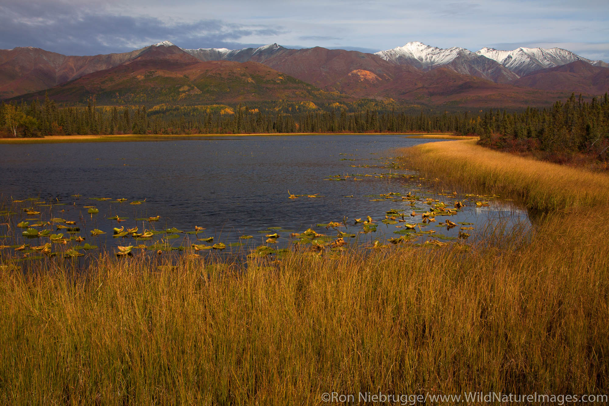Nabesna Road, Wrangell St. Elias National Park, Alaska.