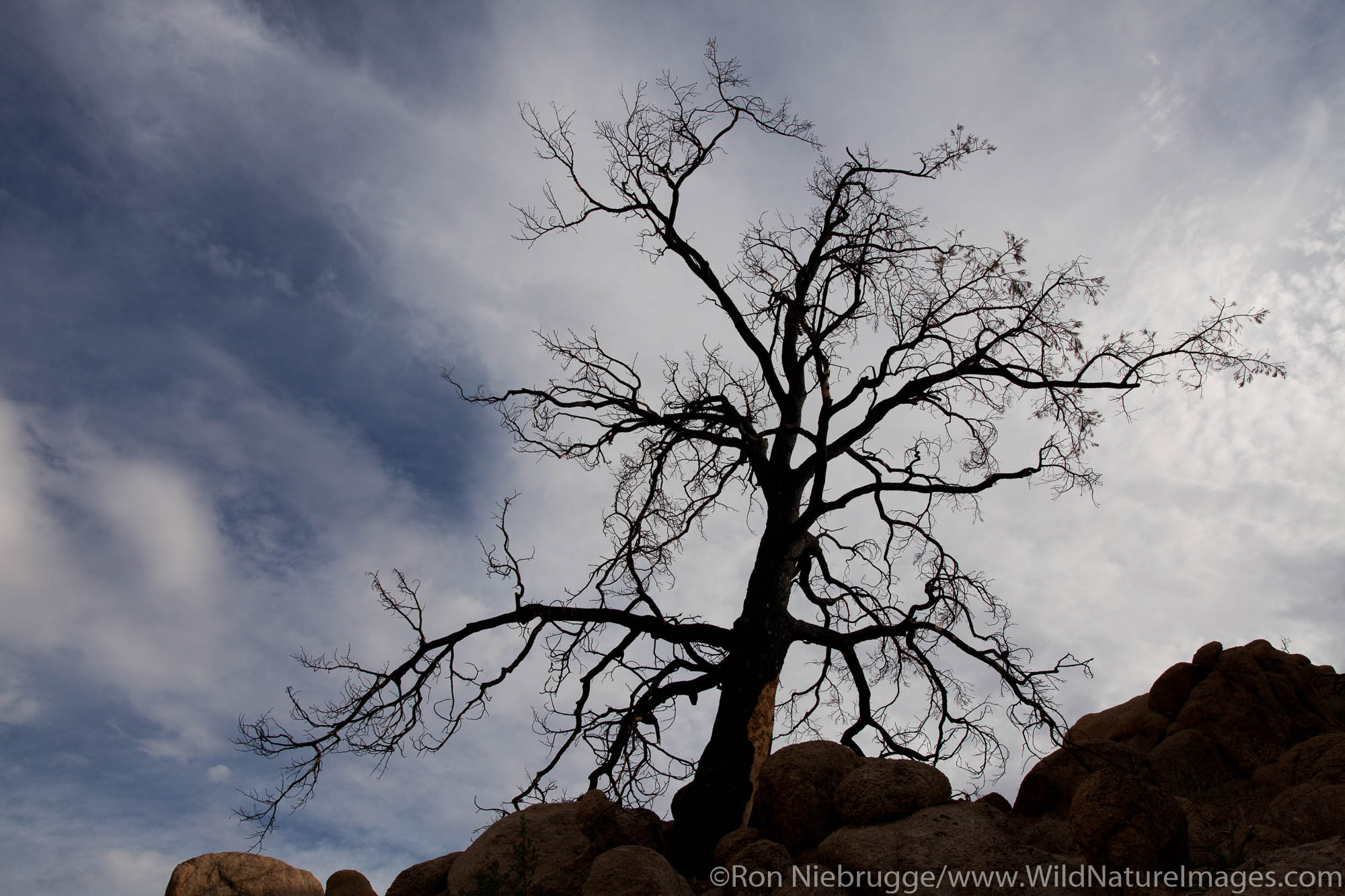 Pioneertown Mountain Preserve, Mojave Desert, California.