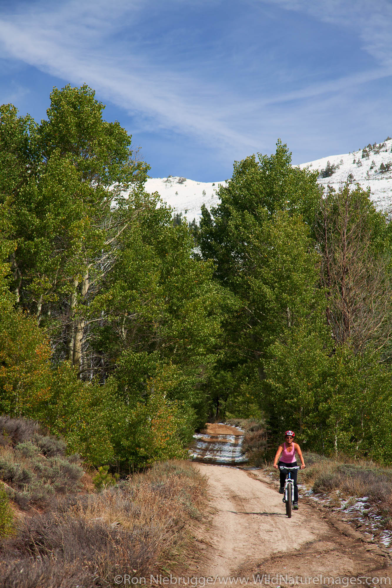 Mountain biking on the Flume Trail, Lake Tahoe, NV (model released)