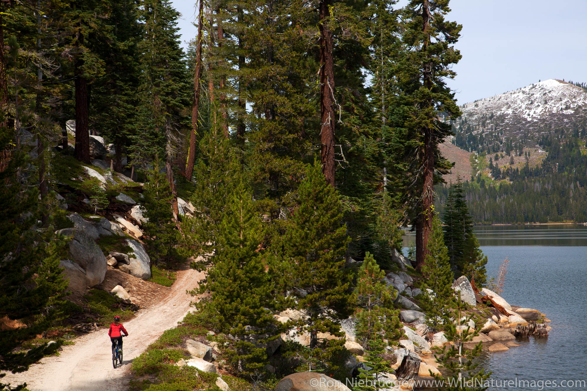 Mountain biking on the Flume Trail along Marlette Lake, Lake Tahoe, NV (model released)