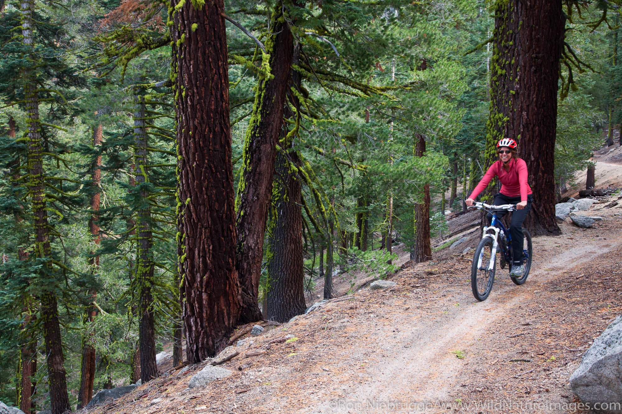 Mountain biking on the Flume Trail, Lake Tahoe, NV (model released)