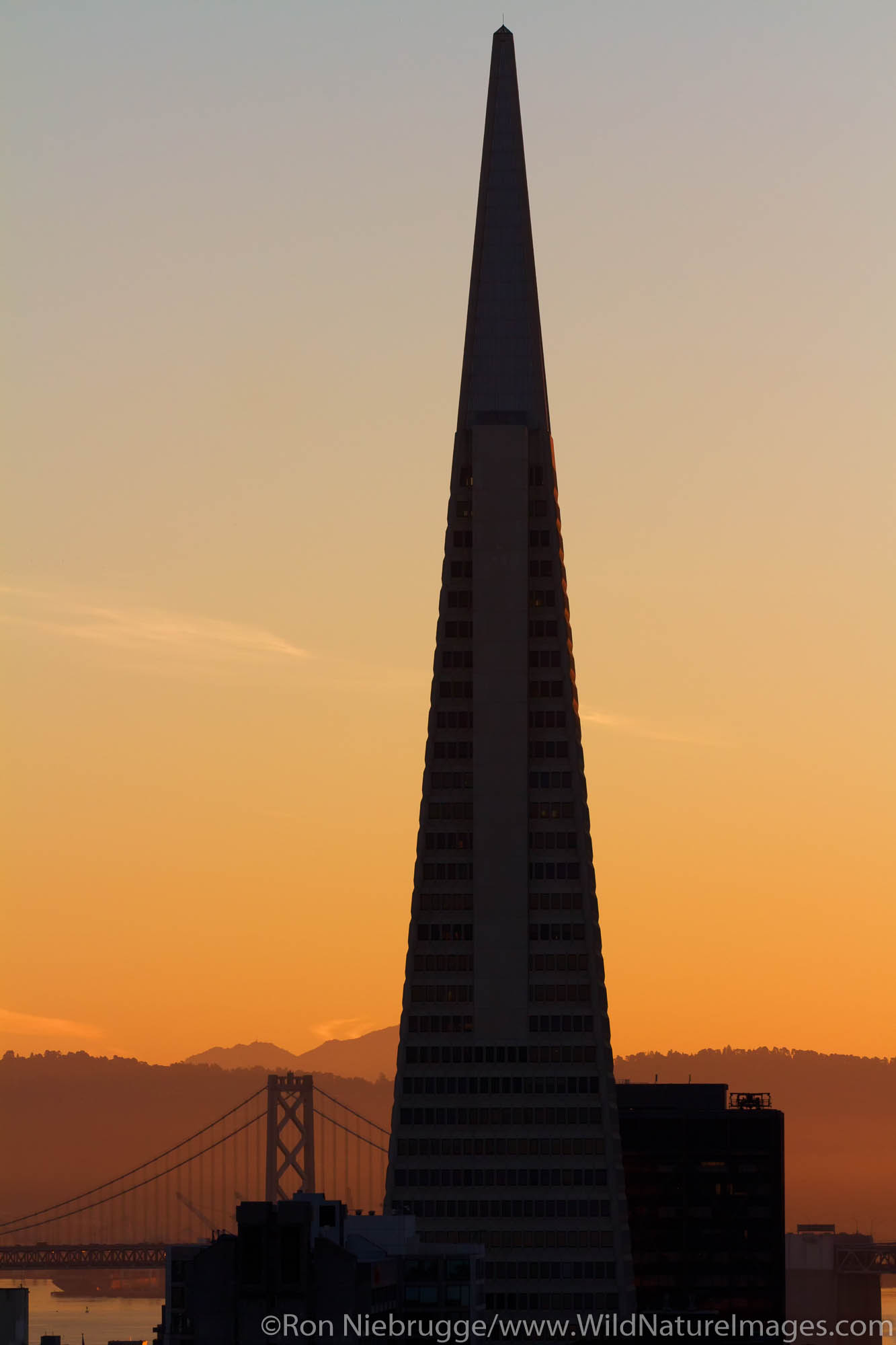 Transamerica Pyramid and Bay Bridge, San Francisco, CA